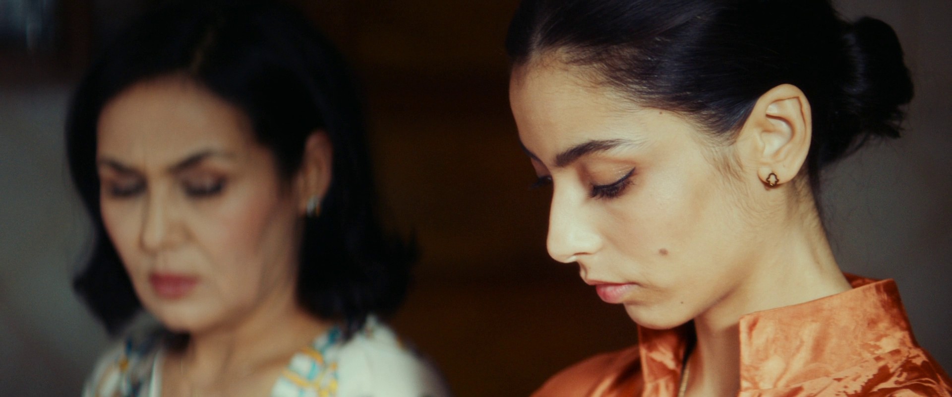 Animalia (2023) —  shot,  lighting