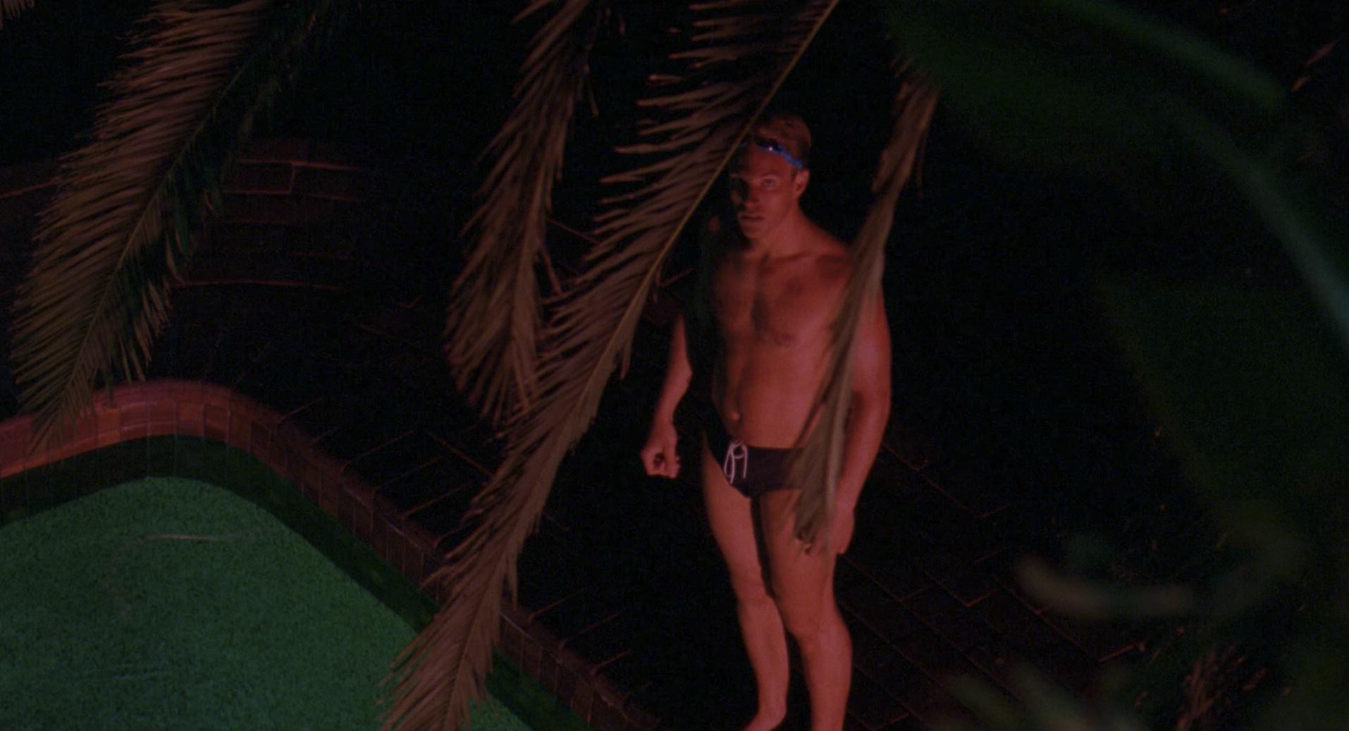 Muriel's Wedding (1994) —  shot,  lighting