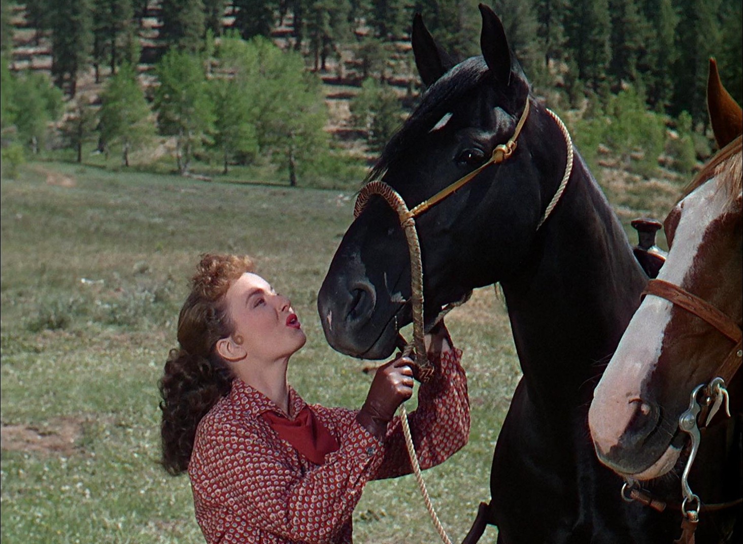 Red Canyon (1949) —  shot,  lighting
