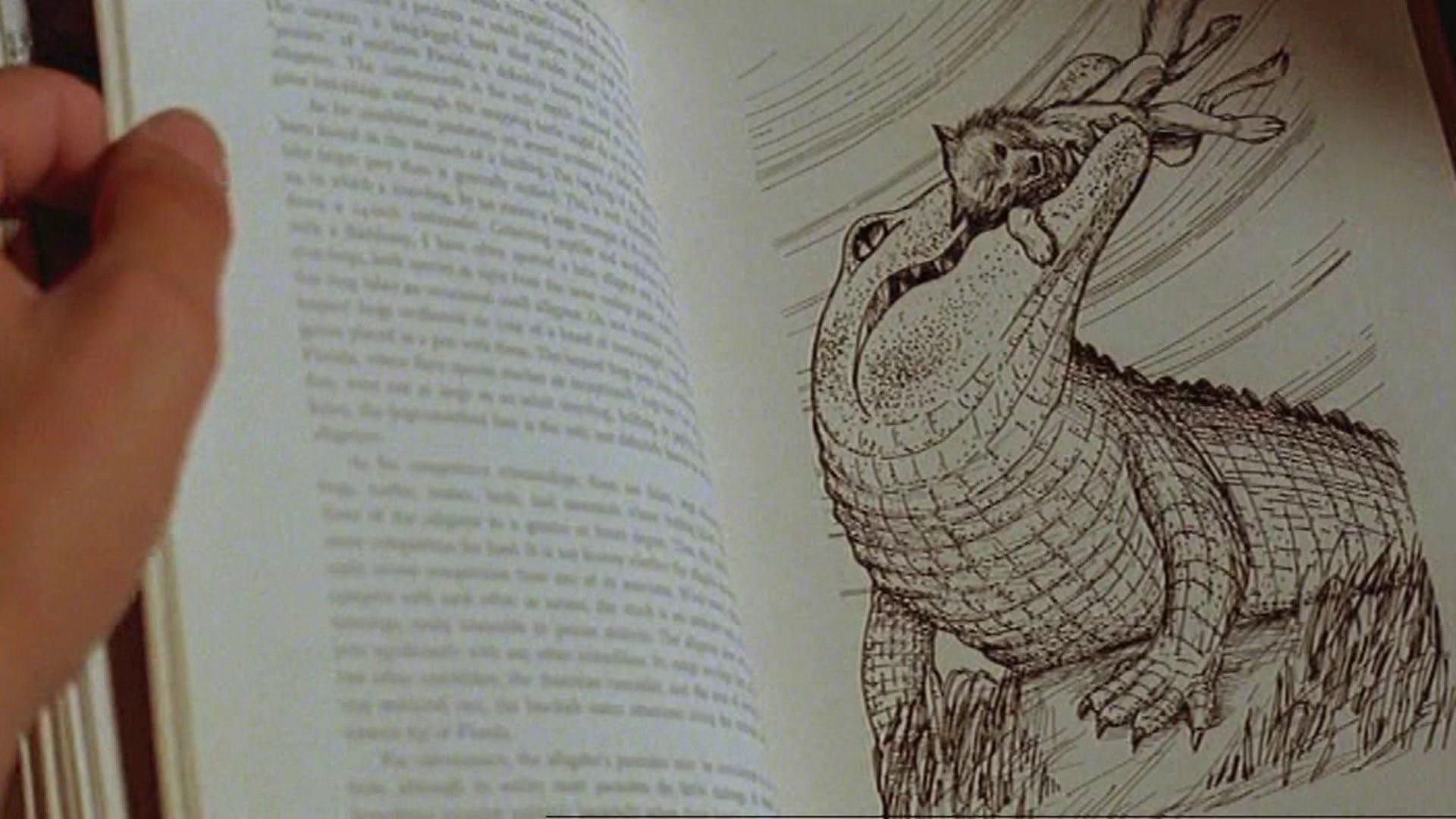 Alligator (1980) —  shot,  lighting