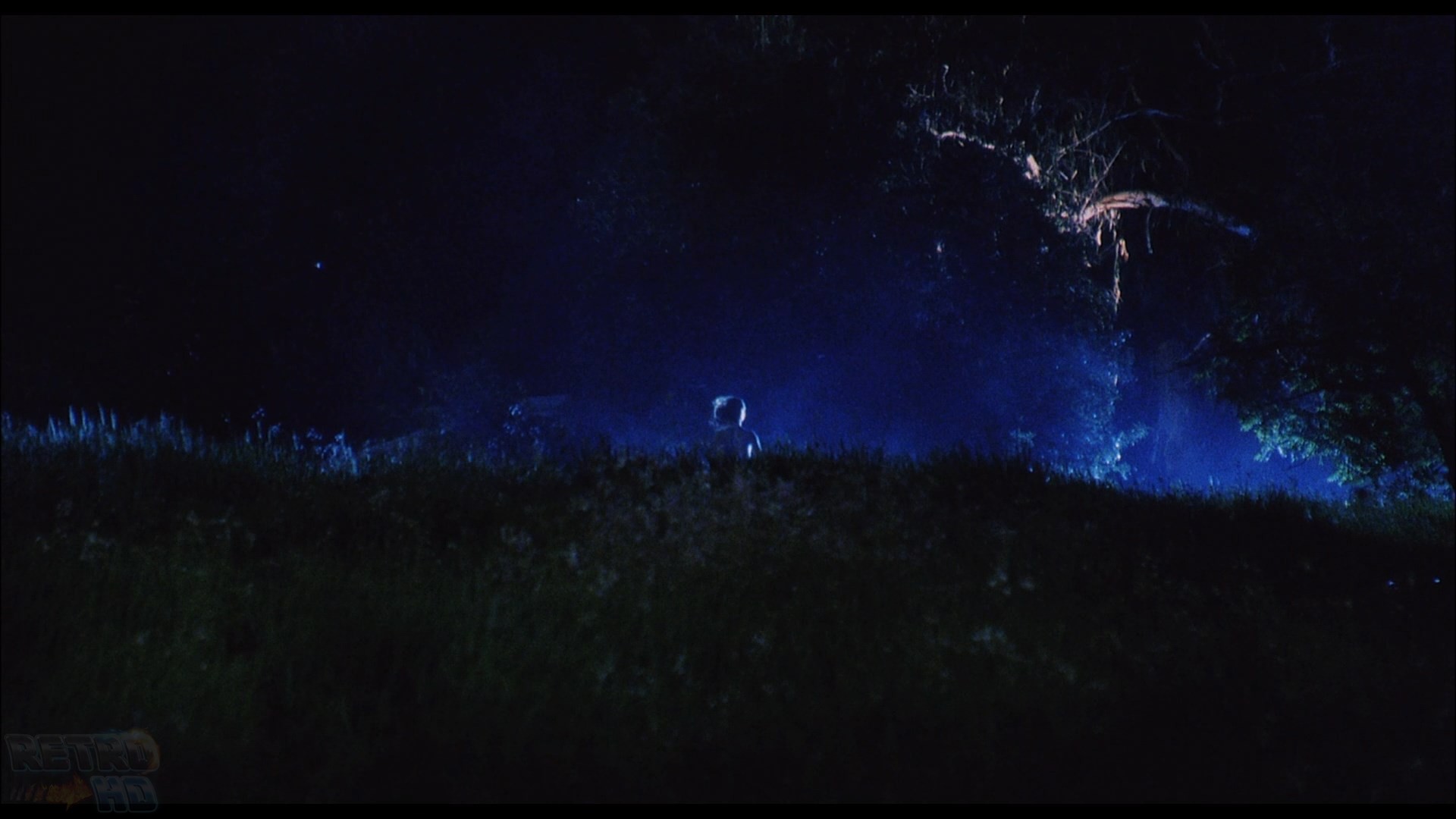 The Guardian (1990) —  shot,  lighting