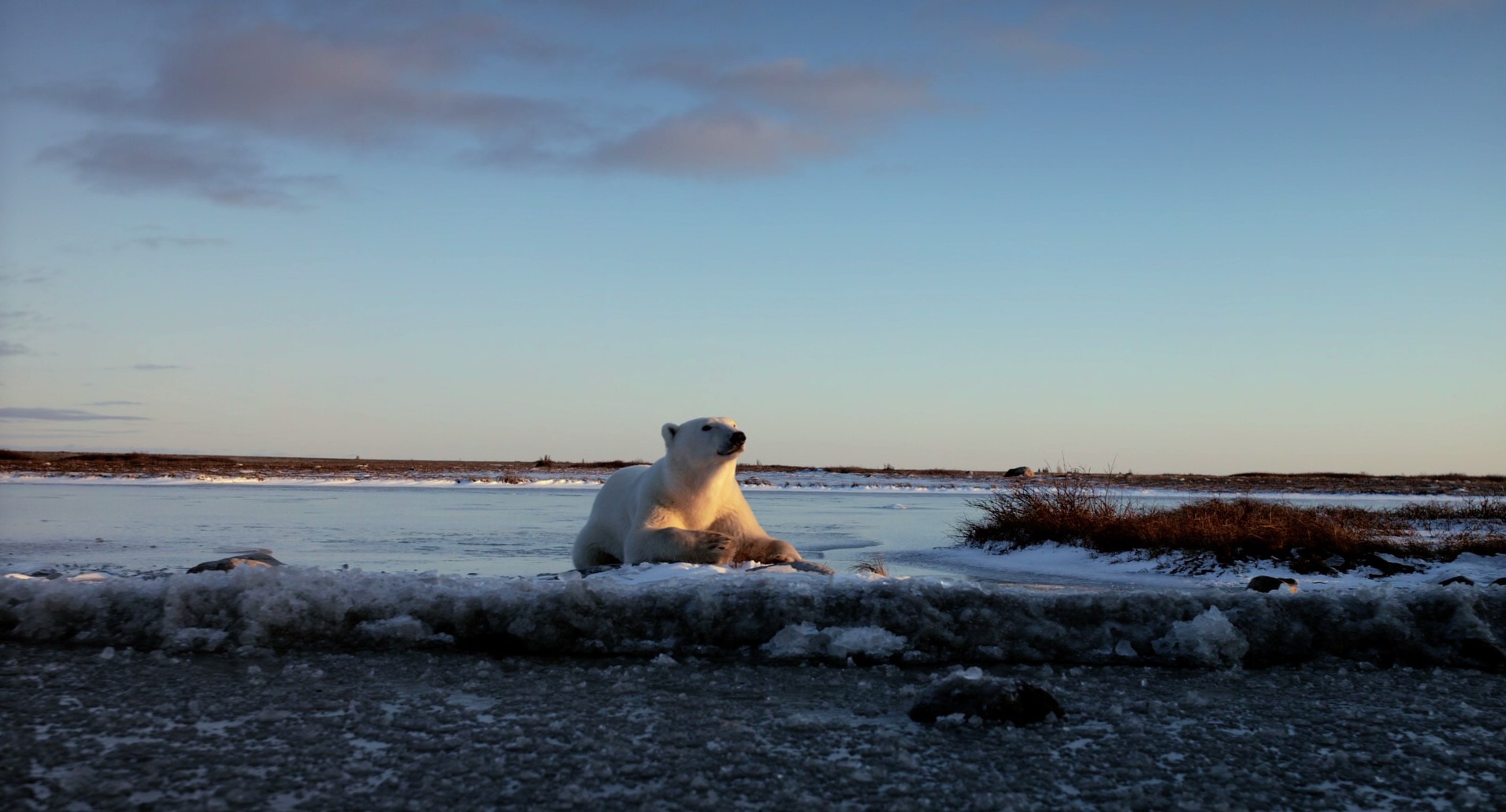 Wonders of the Arctic 3D (2014) —  shot,  lighting