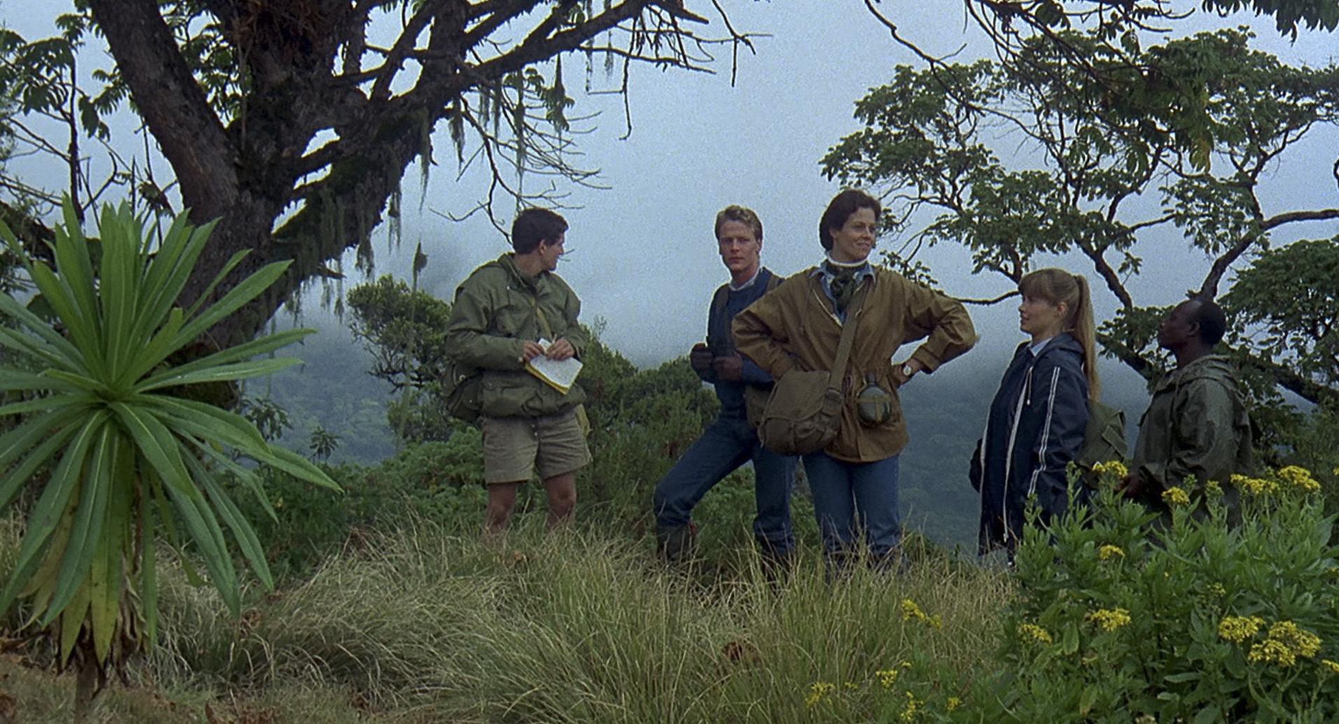 Gorillas in the Mist (1988) —  shot,  lighting