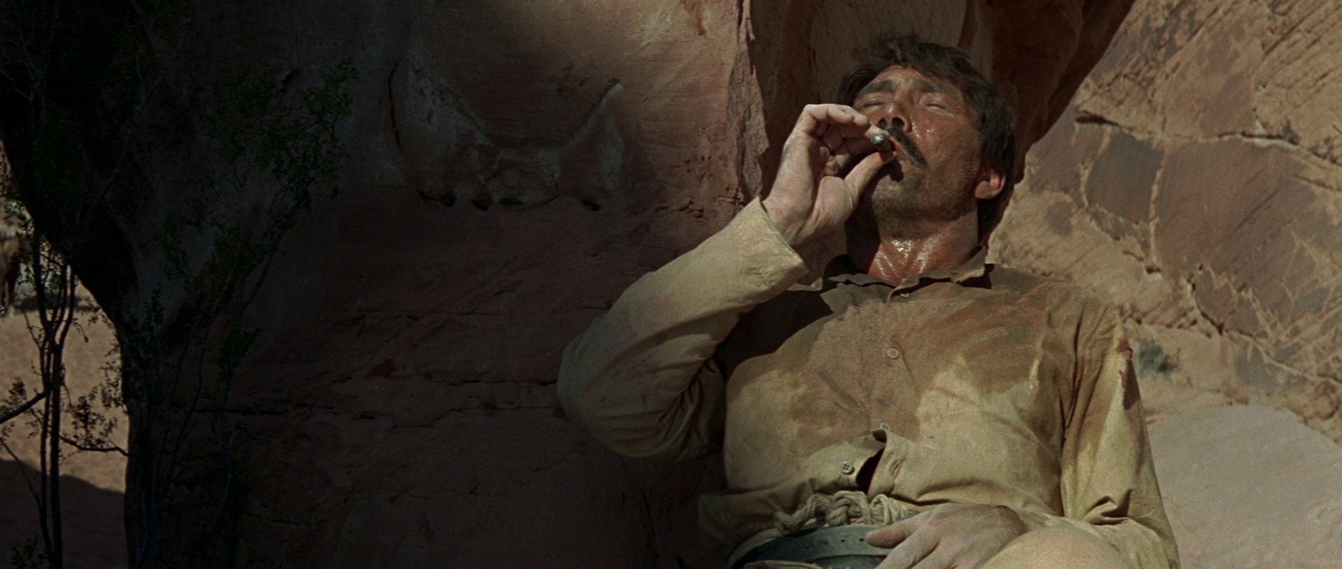 The Professionals (1966) —  shot,  lighting