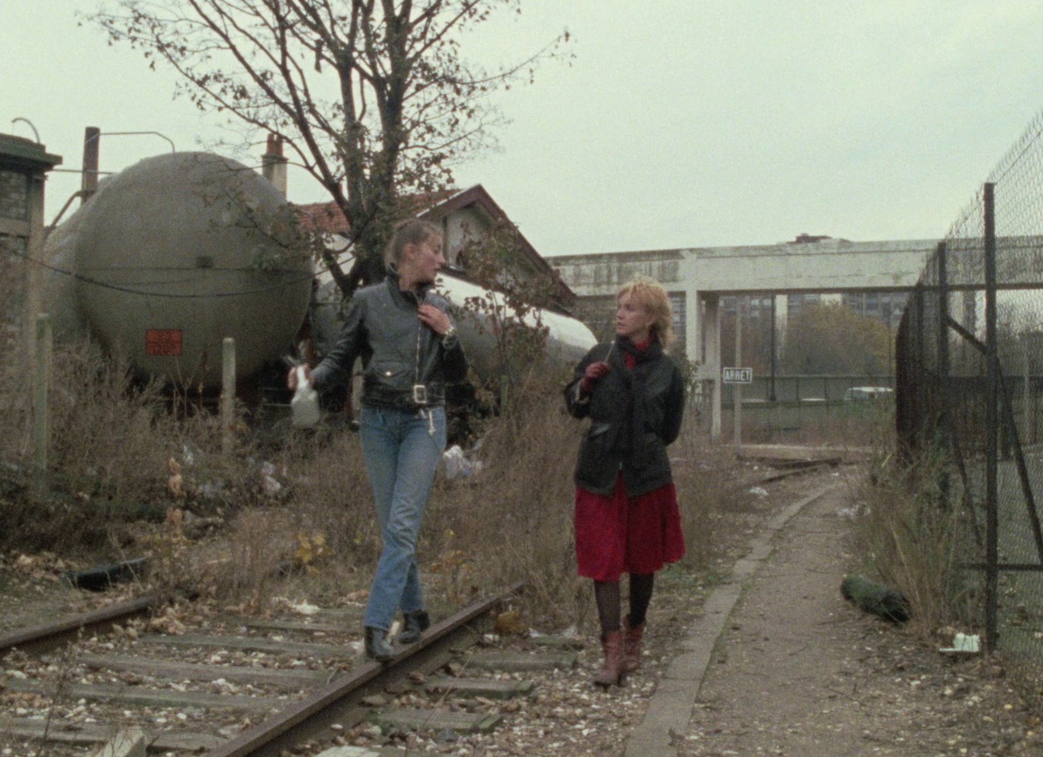 Le Pont du Nord (1981) —  shot,  lighting