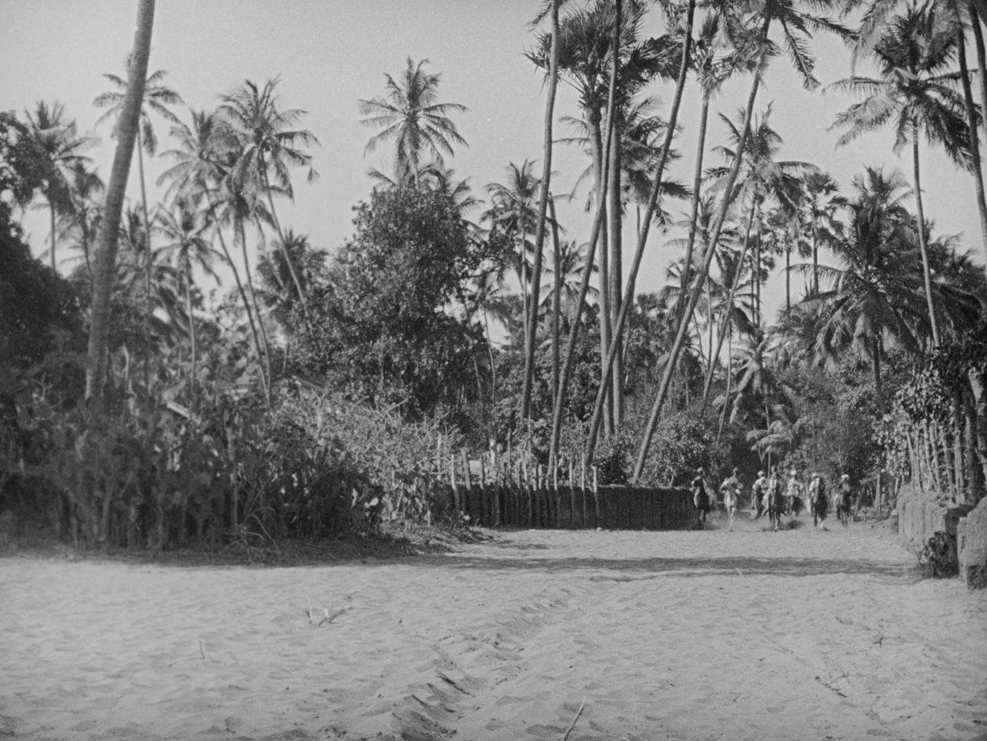 Shiraz (1928) —  shot,  lighting