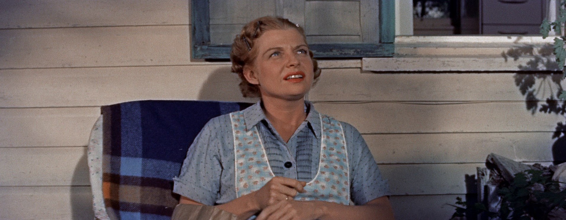 Picnic (1956) —  shot,  lighting