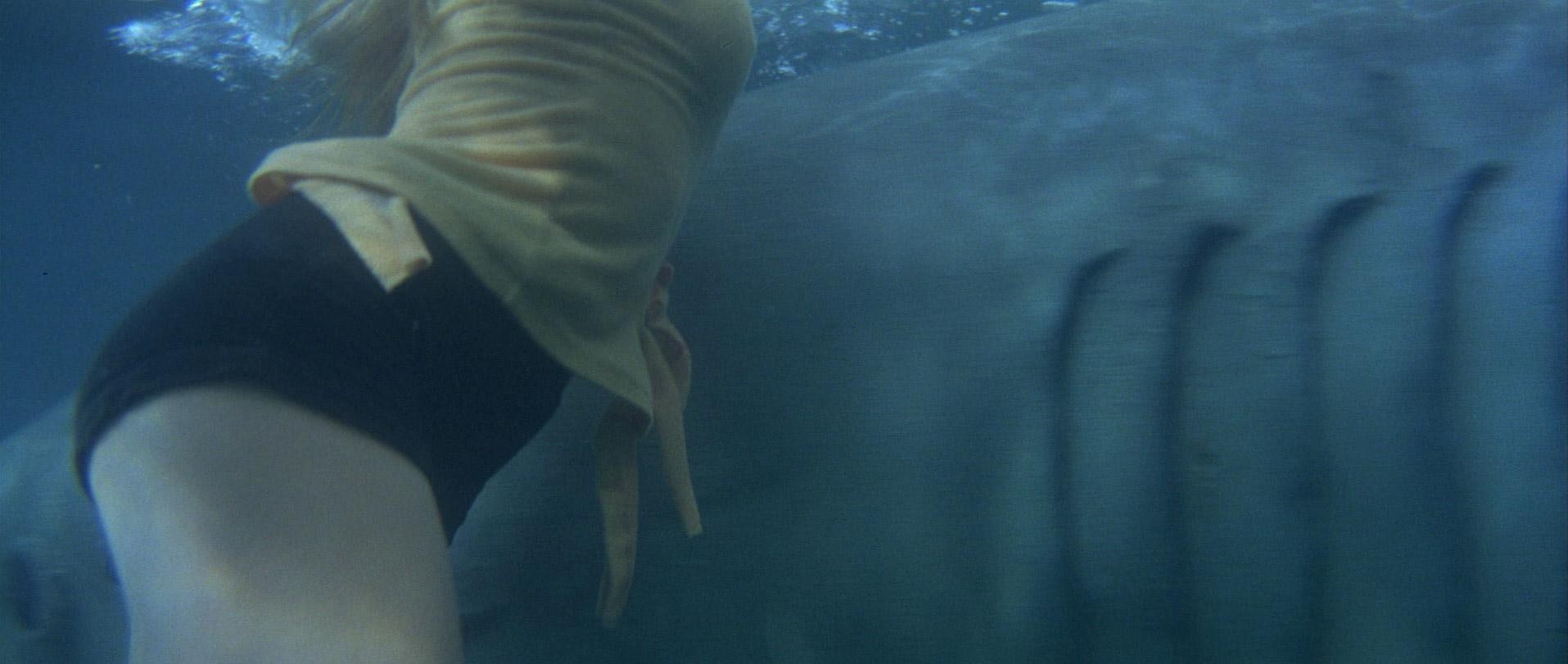 Jaws 2 (1978) —  shot,  lighting