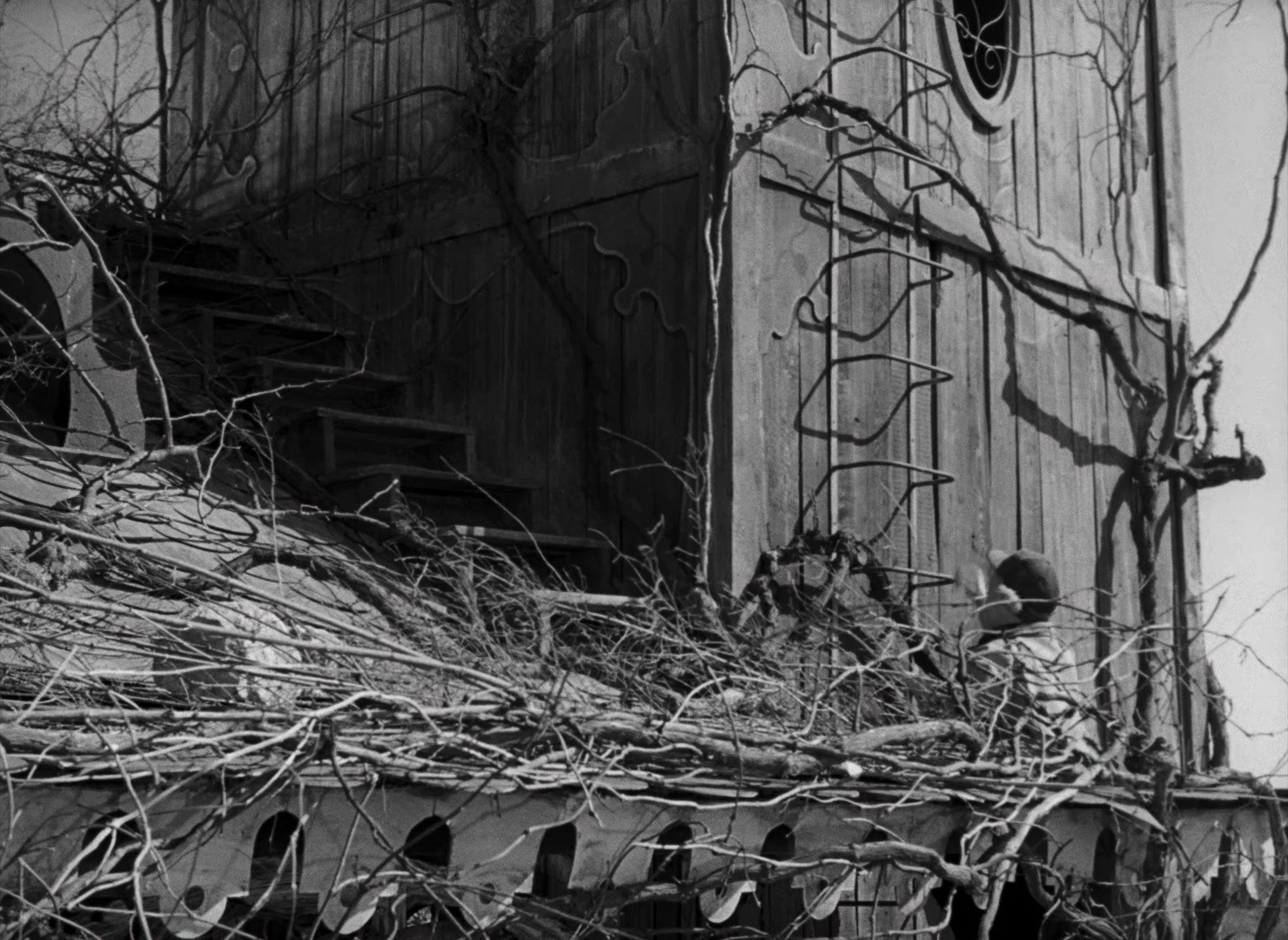 Fortunella (1958) —  shot,  lighting