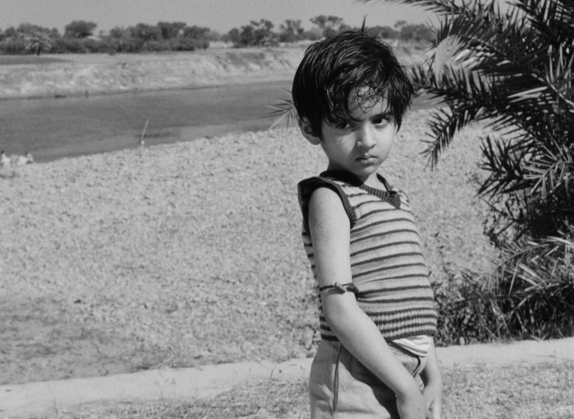 The World of Apu (1959) —  shot,  lighting