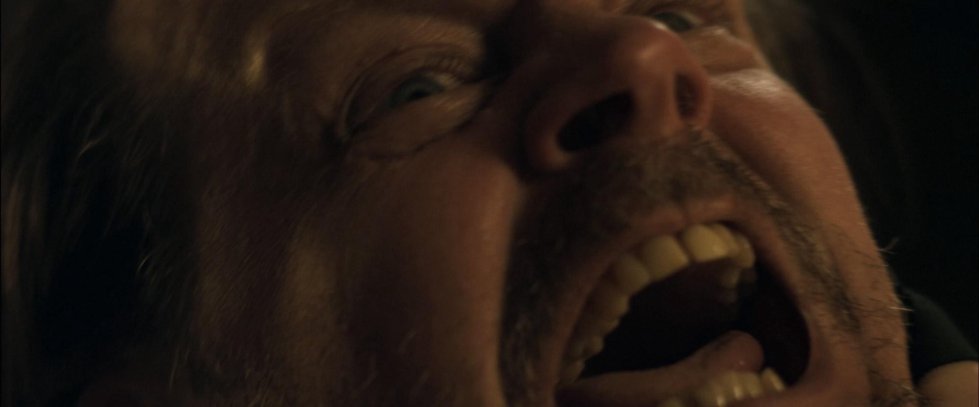 You're Next (2011) —  shot,  lighting