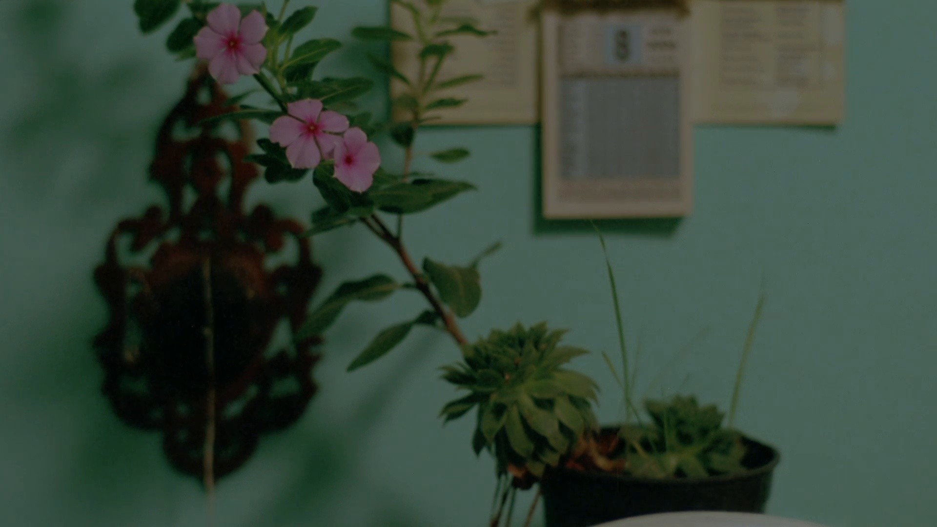 Egg (2007) —  shot,  lighting