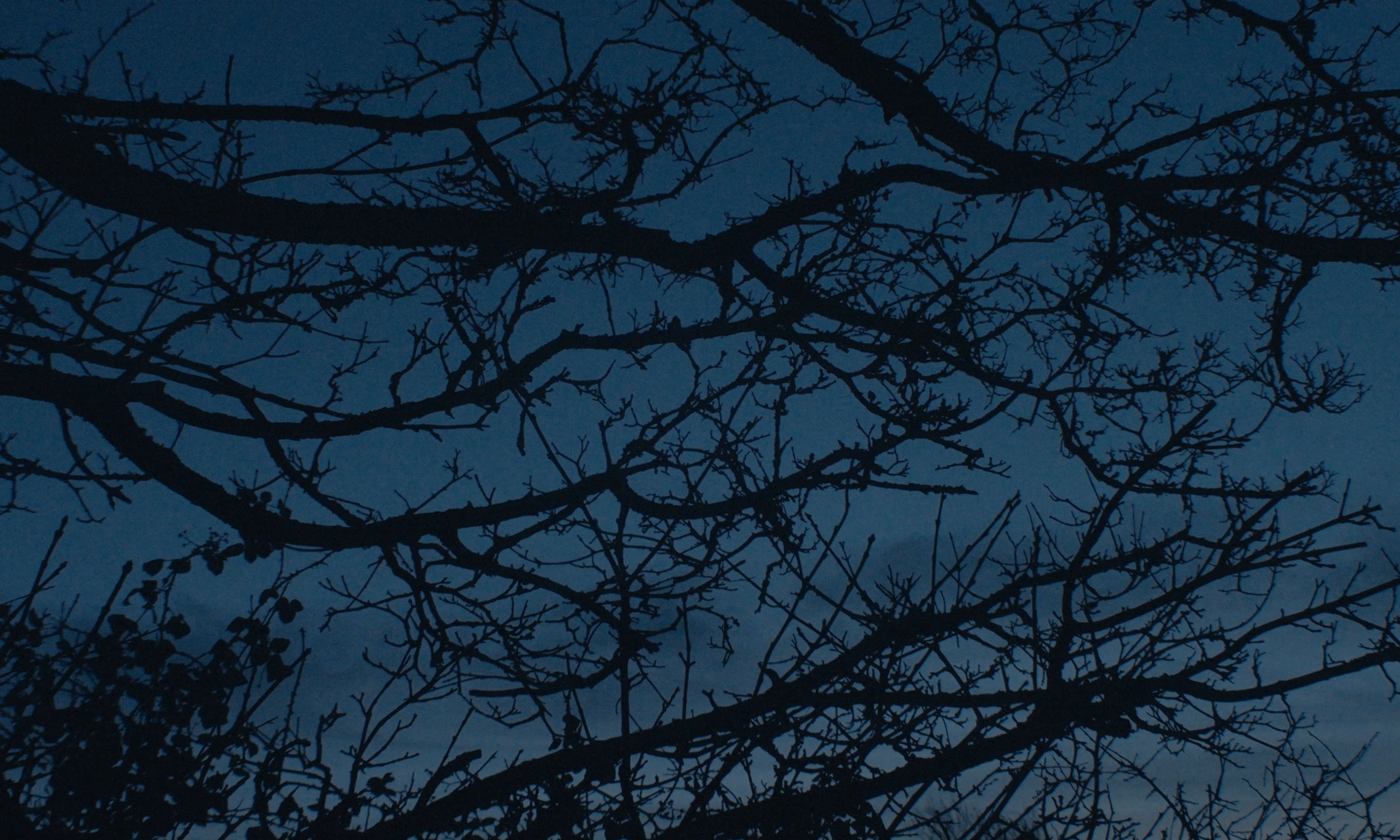 Whisper (2026) —  shot,  lighting