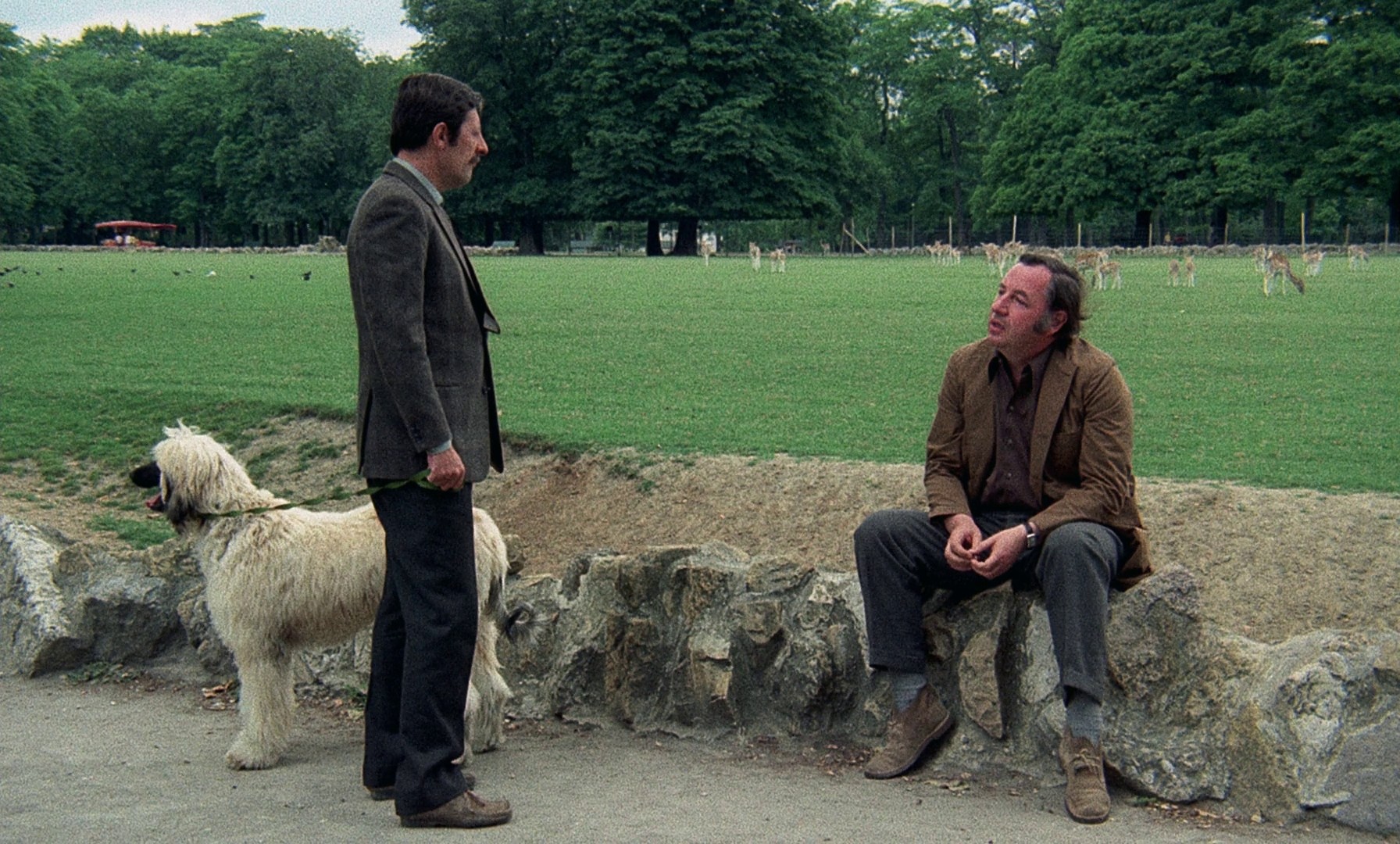 The Clockmaker of St. Paul (1974) —  shot,  lighting