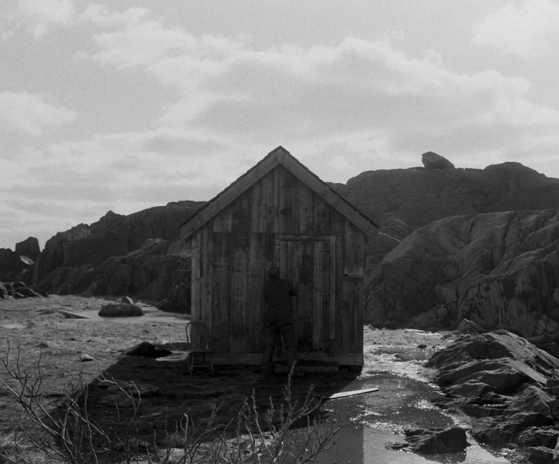 The Lighthouse (2019) —  shot,  lighting