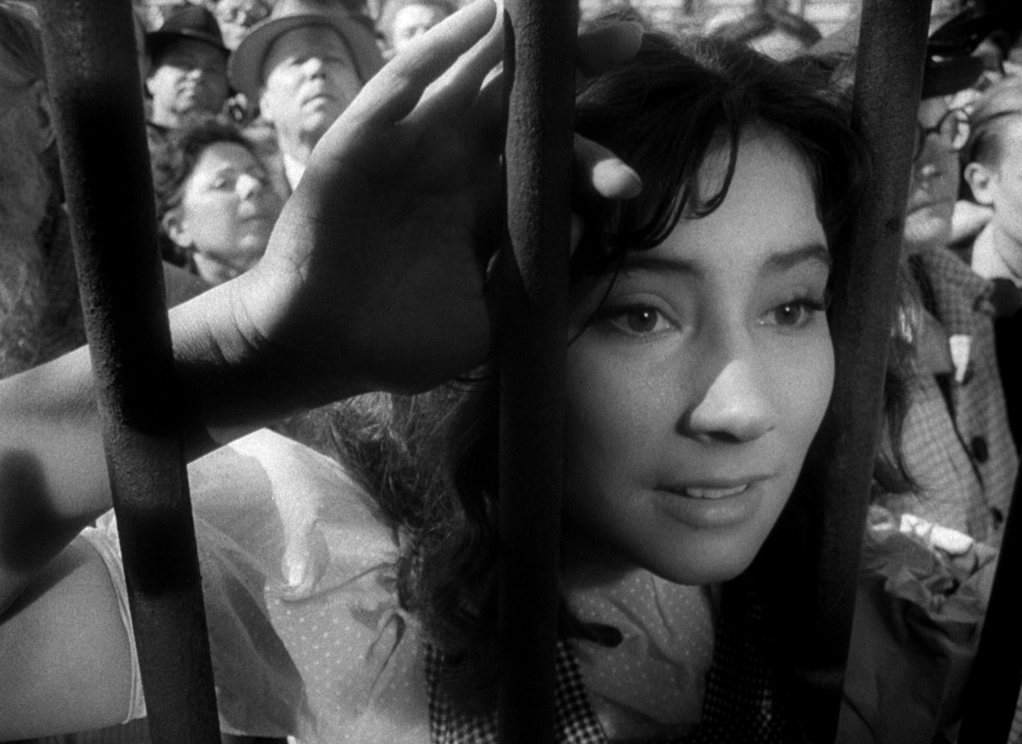 The Cranes Are Flying (1957) —  shot,  lighting