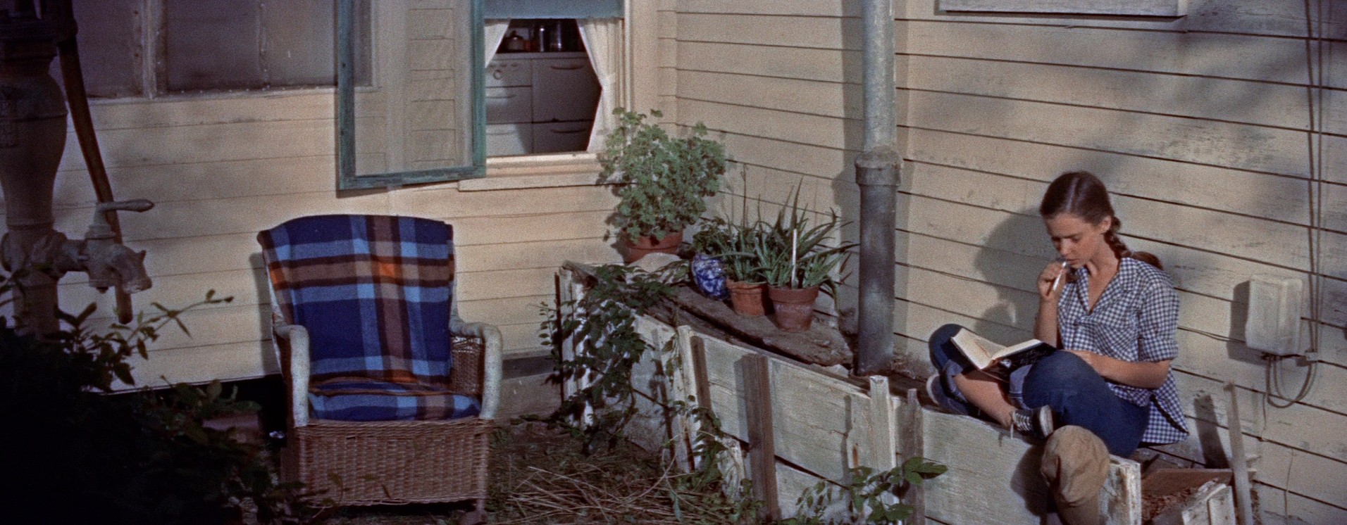 Picnic (1956) —  shot,  lighting