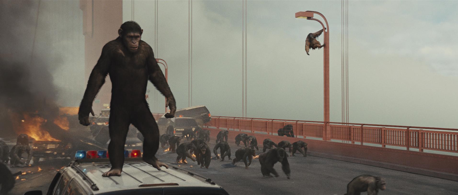 Rise of the Planet of the Apes (2011) —  shot,  lighting