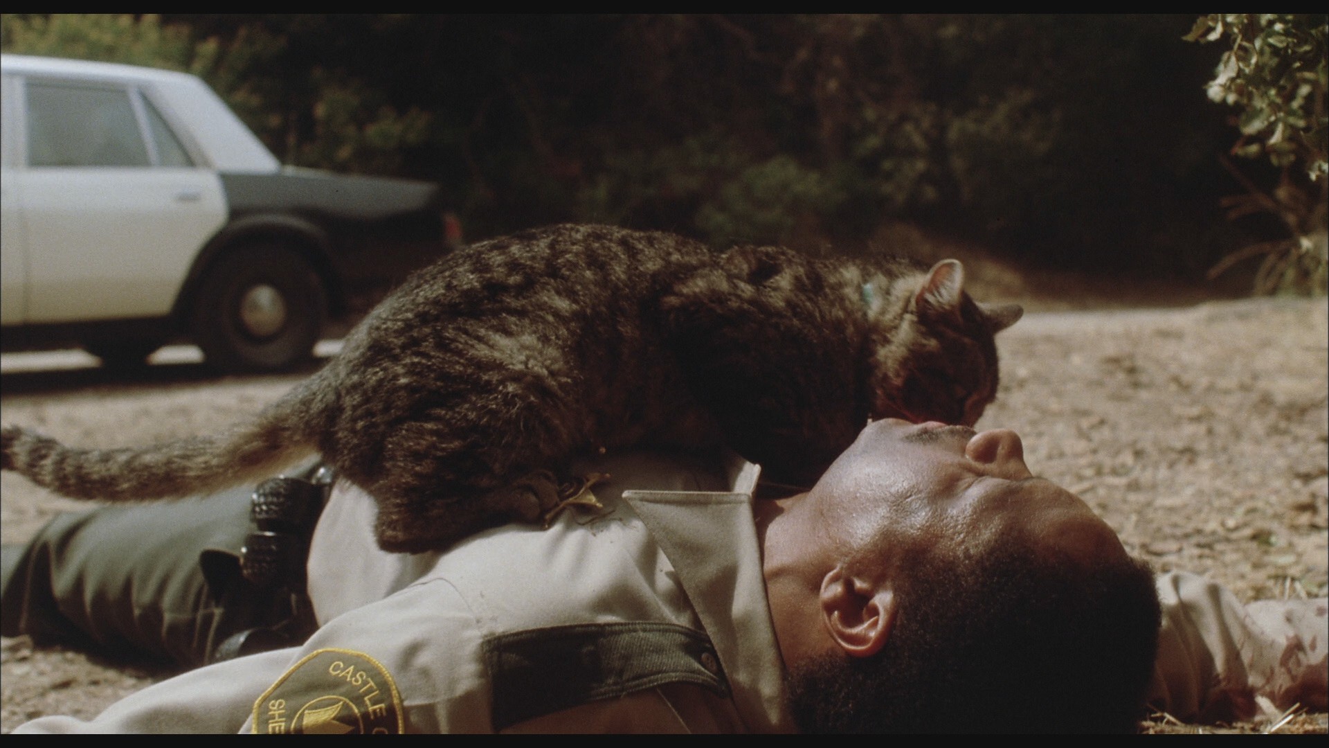 Sleepwalkers (1992) —  shot,  lighting