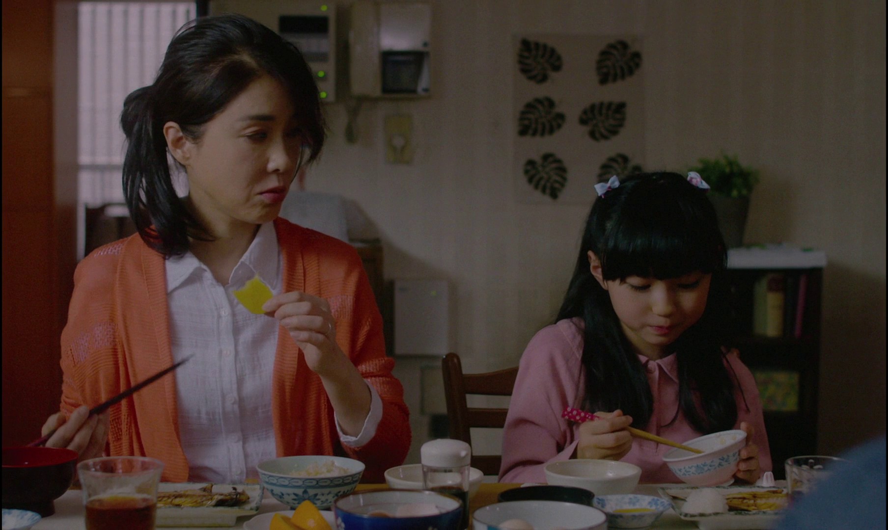 Harmonium (2016) —  shot,  lighting