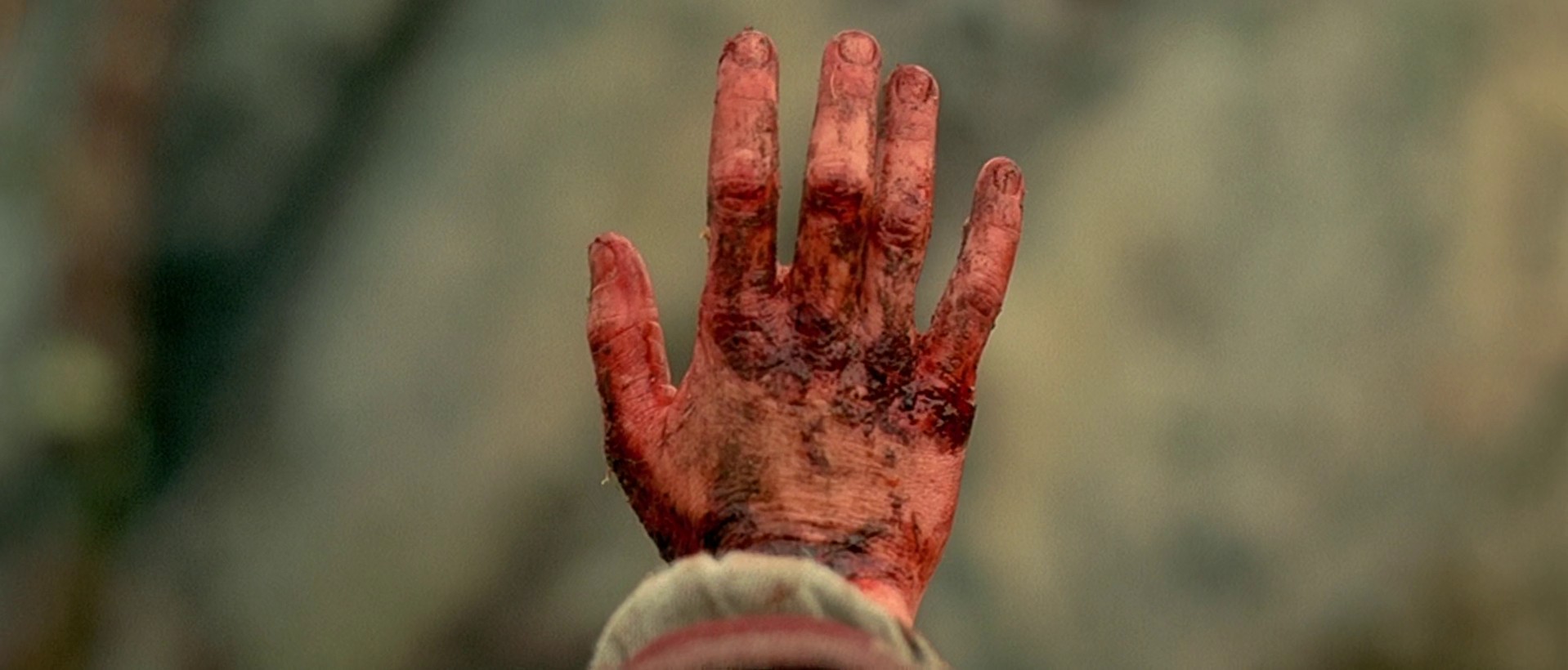 Brotherhood of the Wolf (2001) —  shot,  lighting