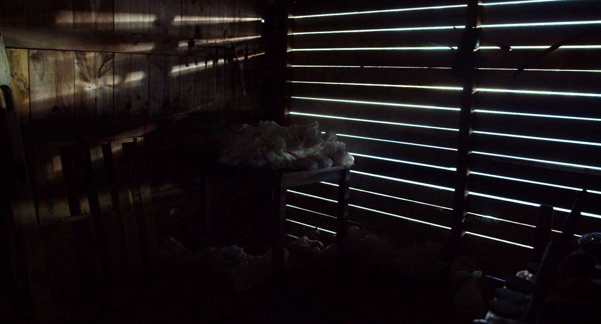 The Visit (2015) —  shot,  lighting