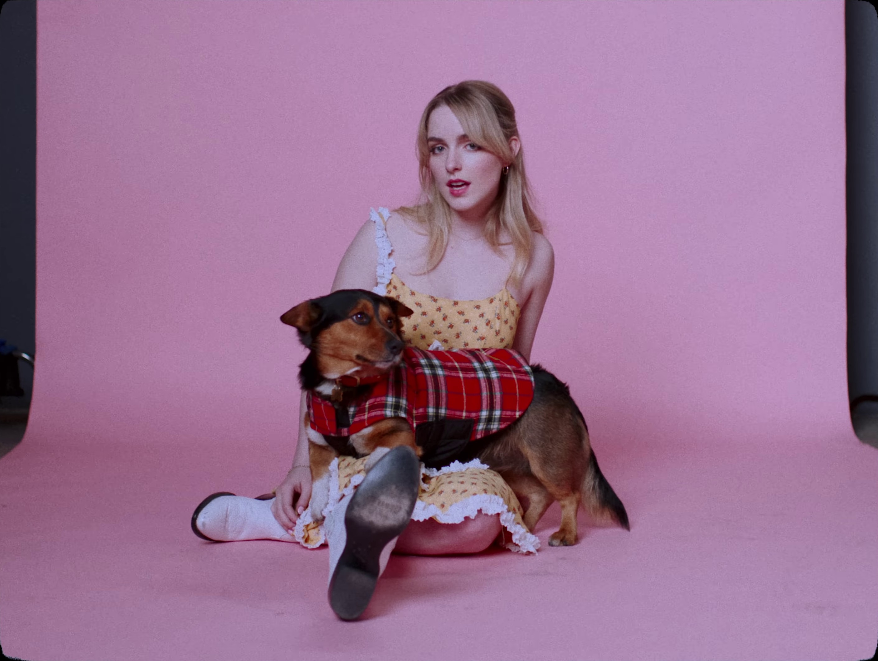 Gentleman (2024) —  shot,  lighting