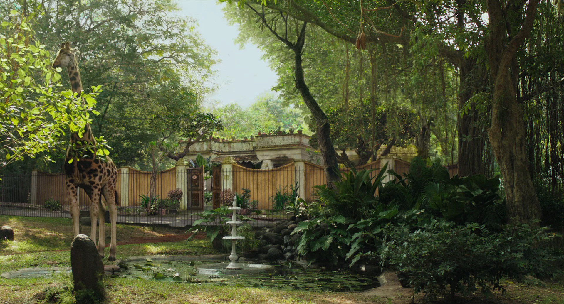 Life of Pi (2012) —  shot,  lighting