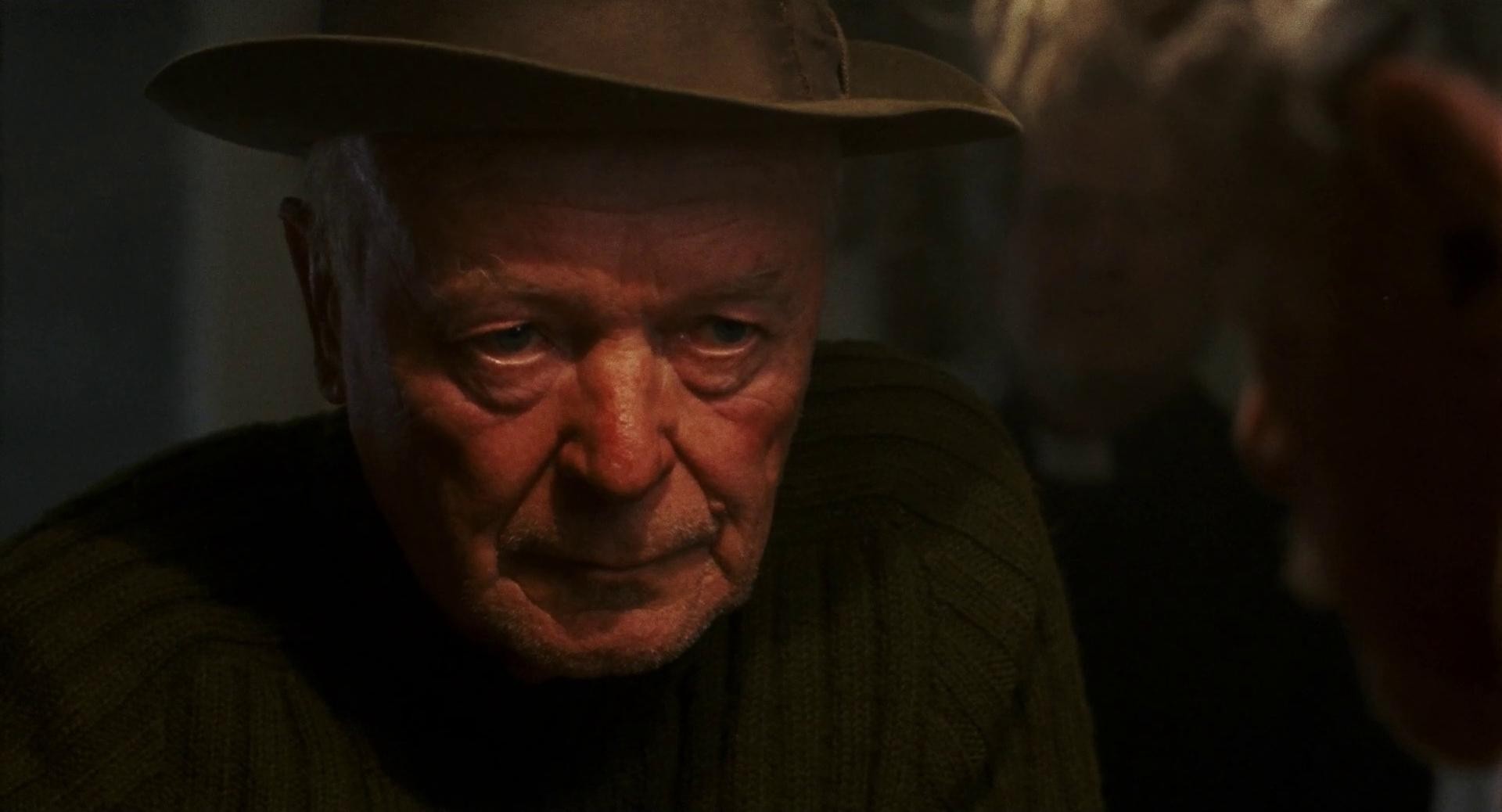 Stories from the Chestnut Woods (2019) —  shot,  lighting