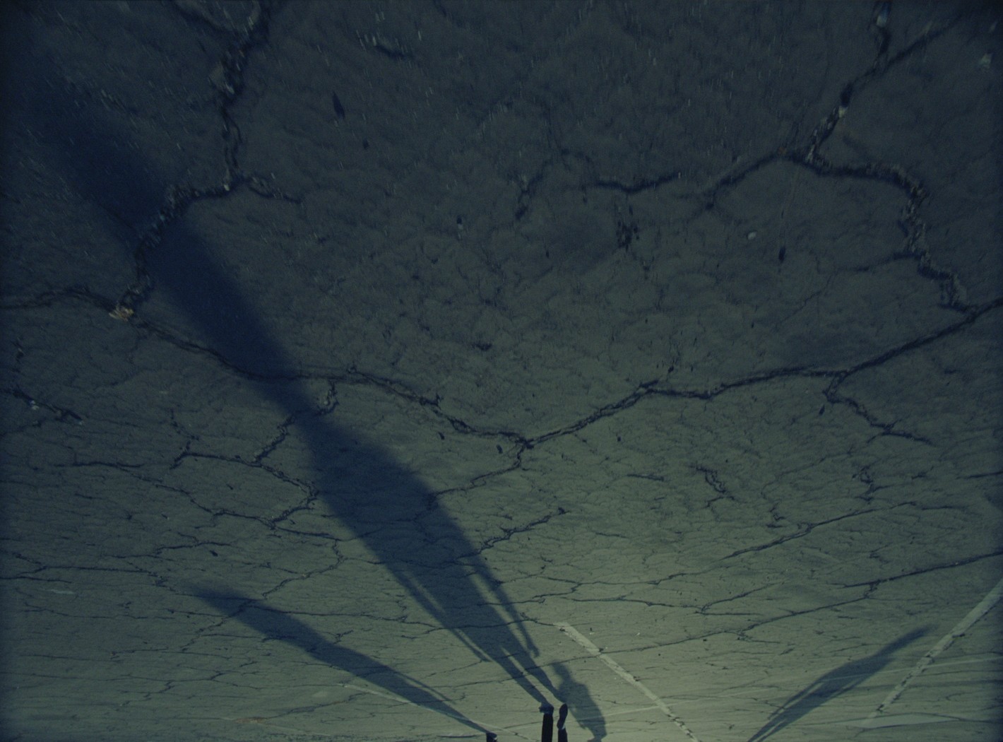 Lost Me (2022) —  shot,  lighting