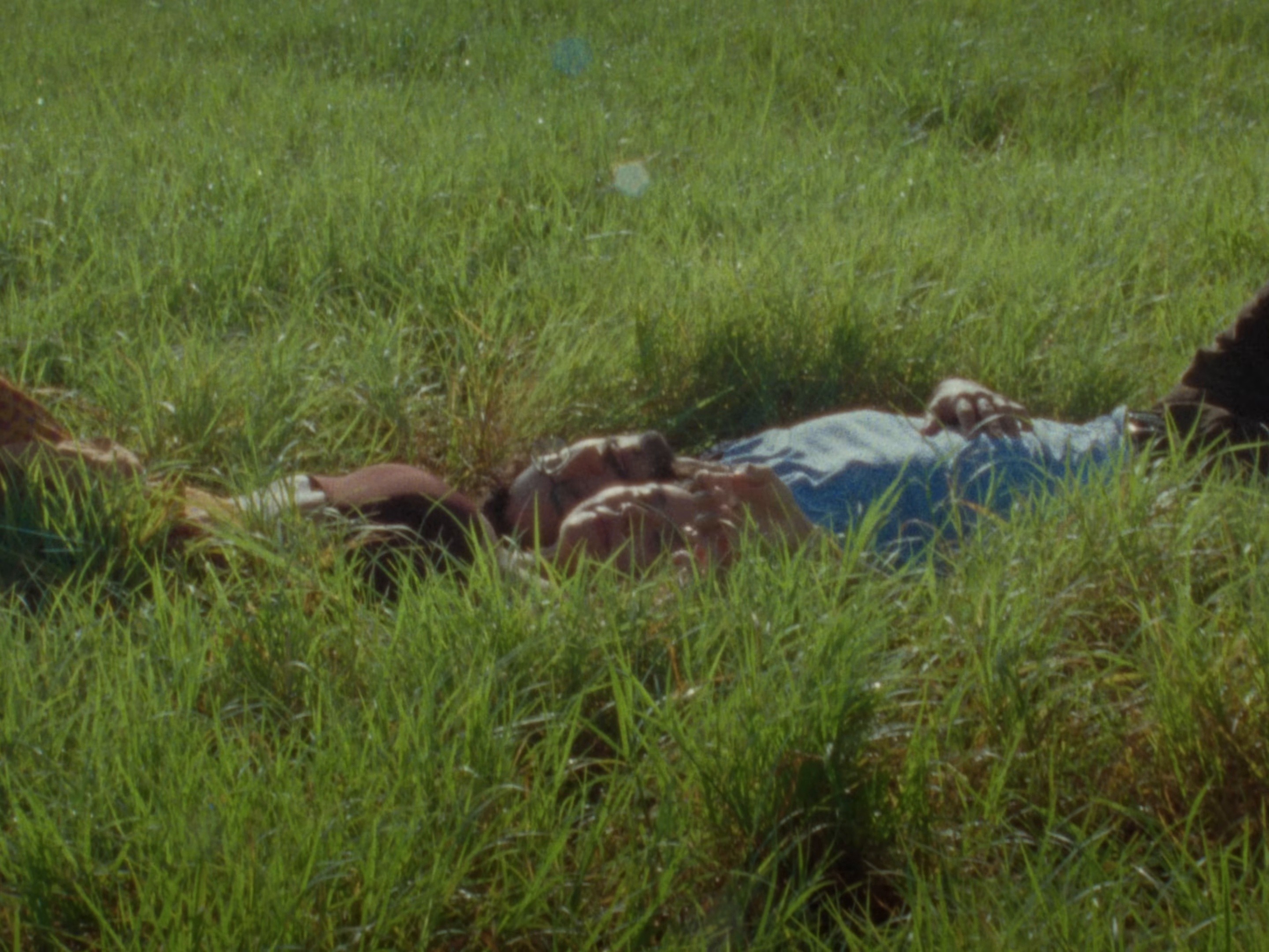 Bendito Vicio (2026) —  shot,  lighting