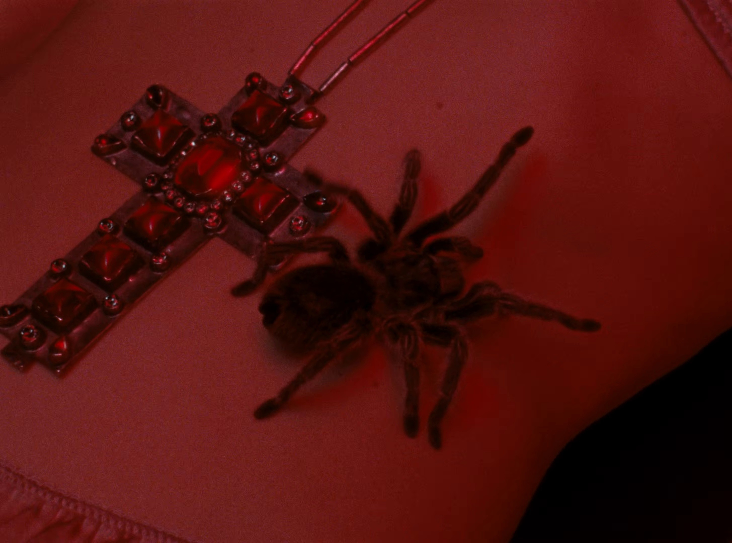 Not the Only One (2026) —  shot,  lighting