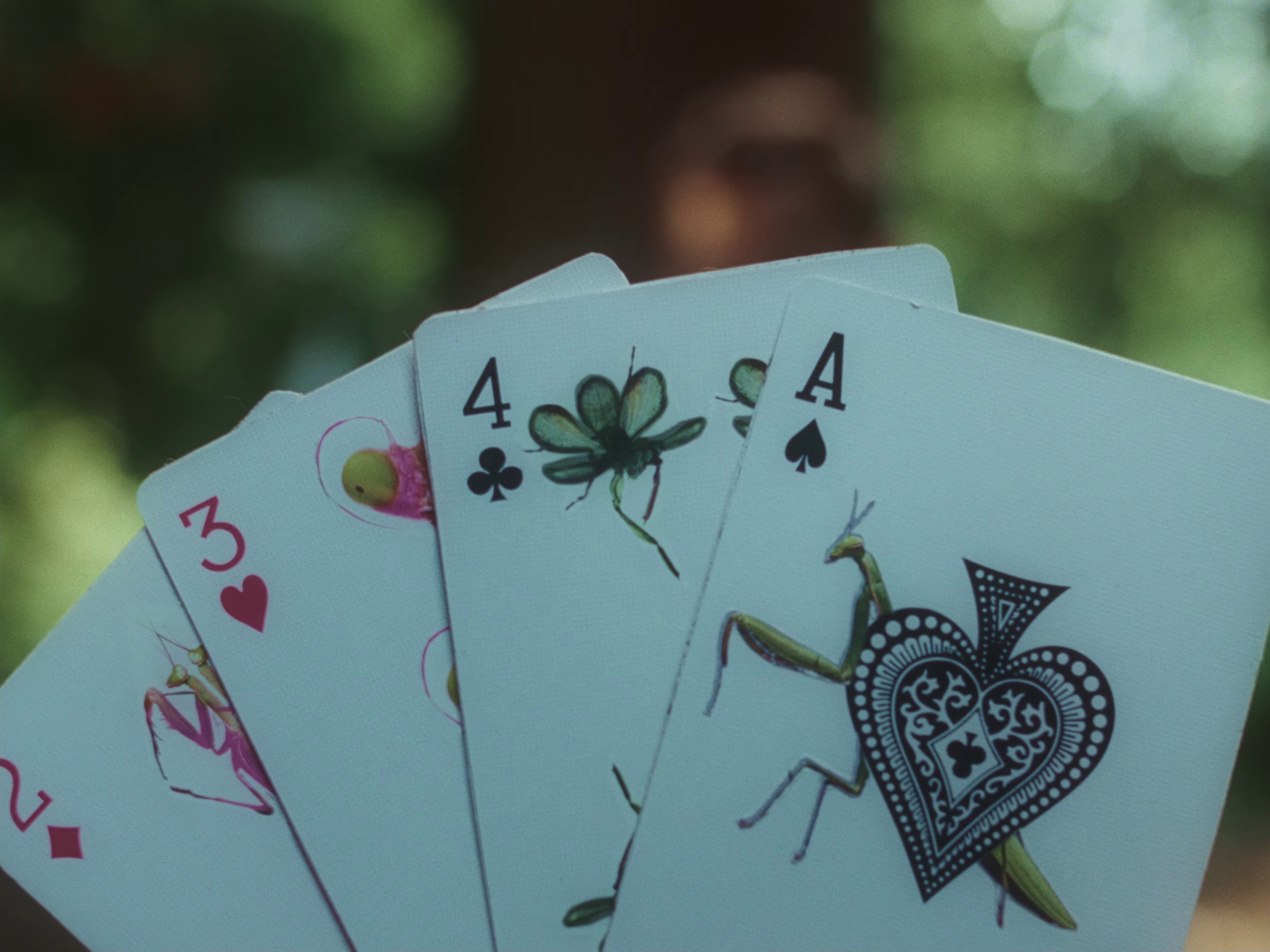 AA BOUQUET FOR YOUR 180 FACE (2024) —  shot,  lighting