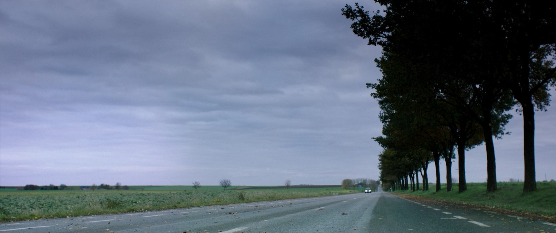 Raw (2016) —  shot,  lighting