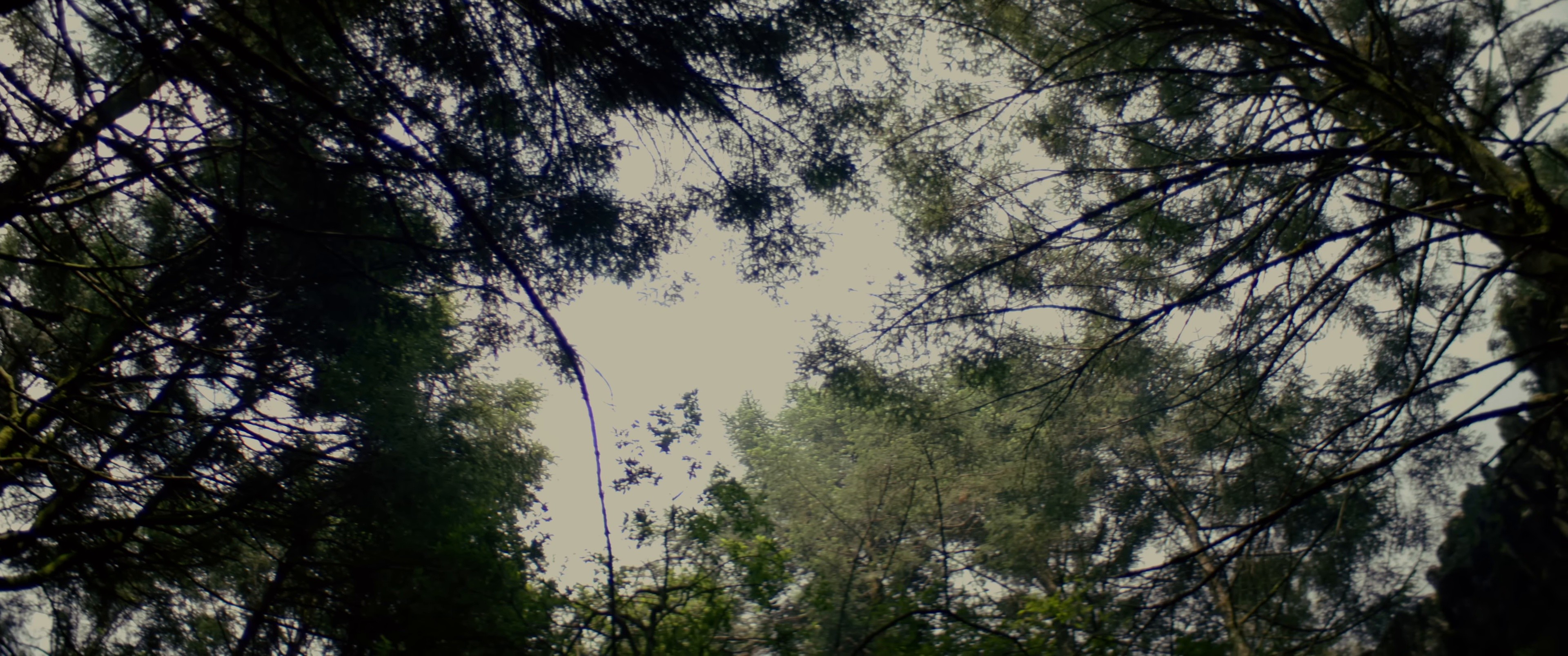 UNA LOKURA (2024) —  shot,  lighting