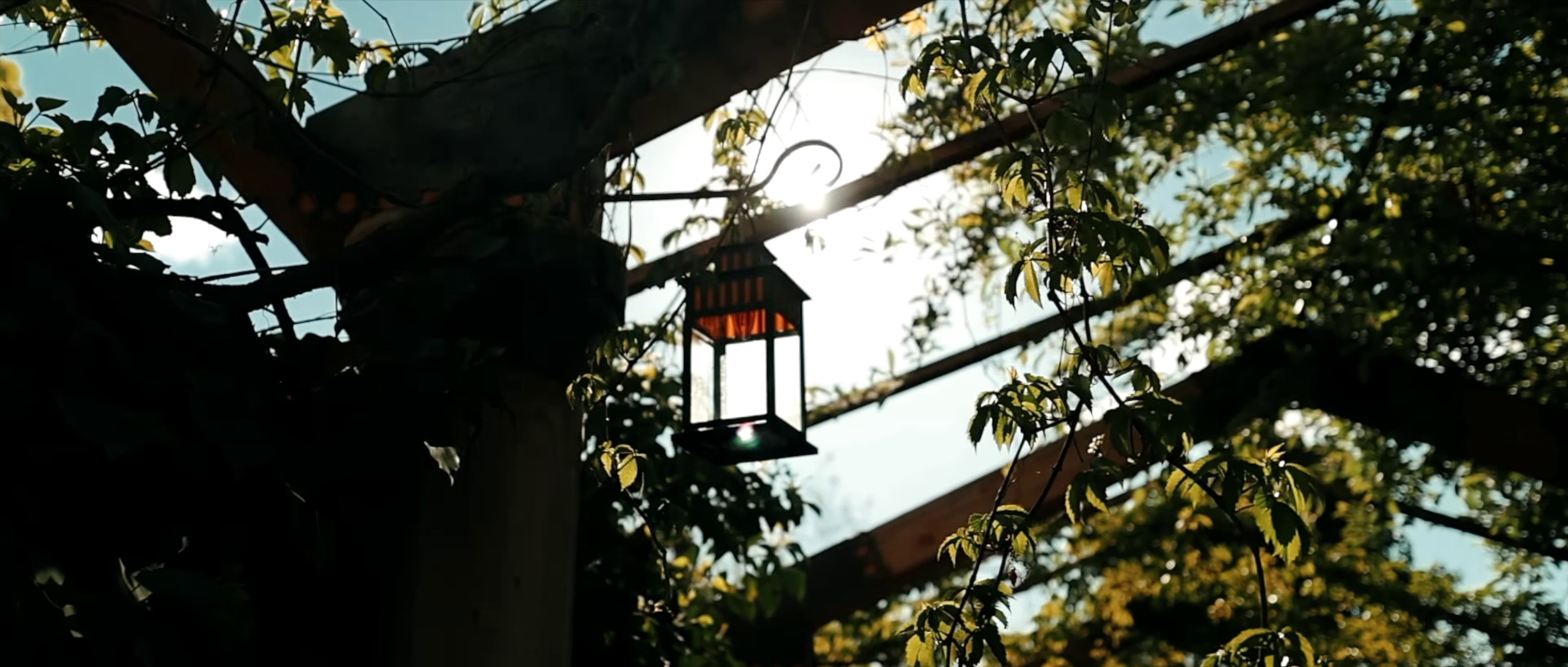  Inta Habibi (2023) —  shot,  lighting