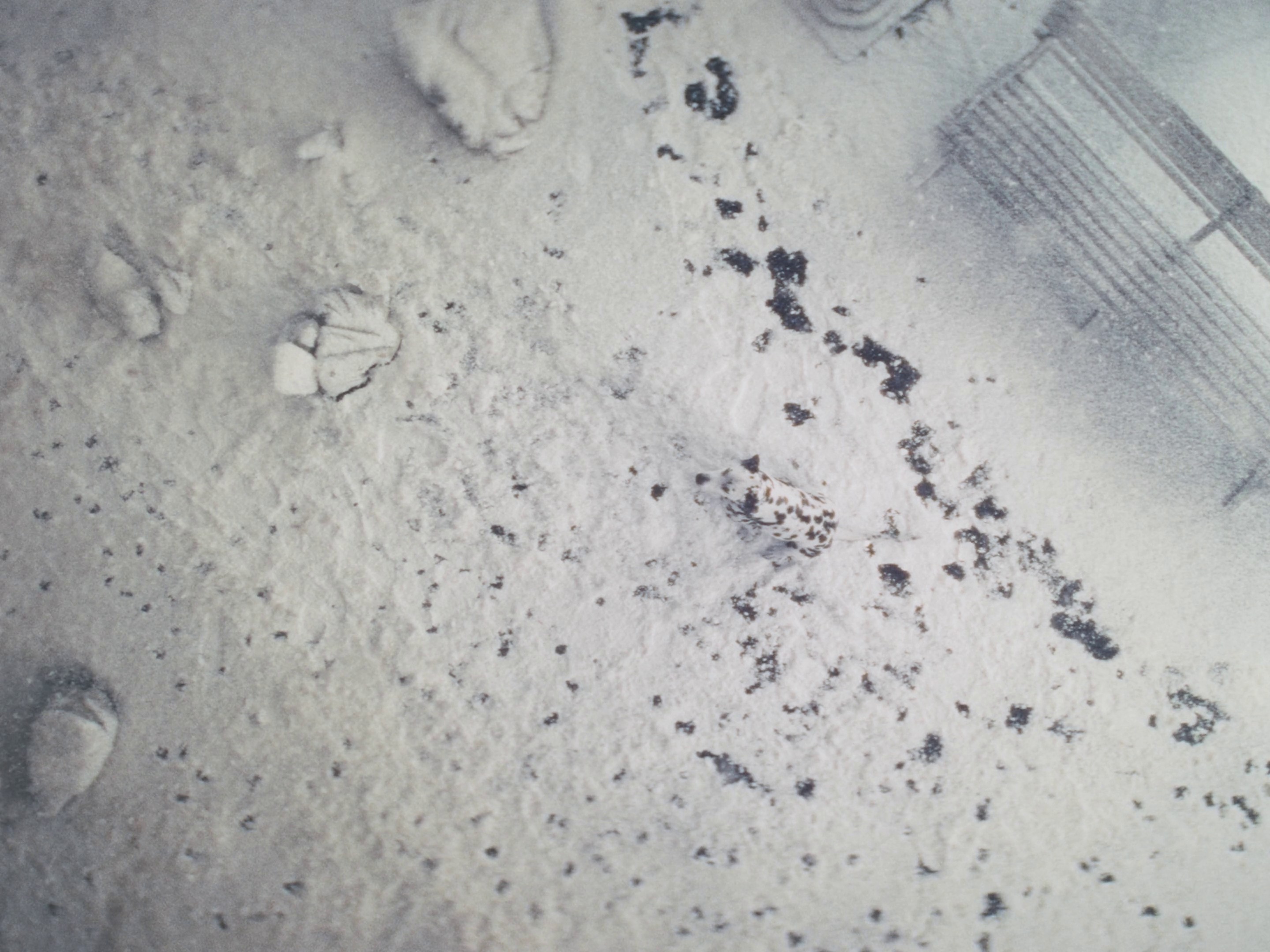 Hill's - Silent Sufferers (DC) (2024) —  shot,  lighting