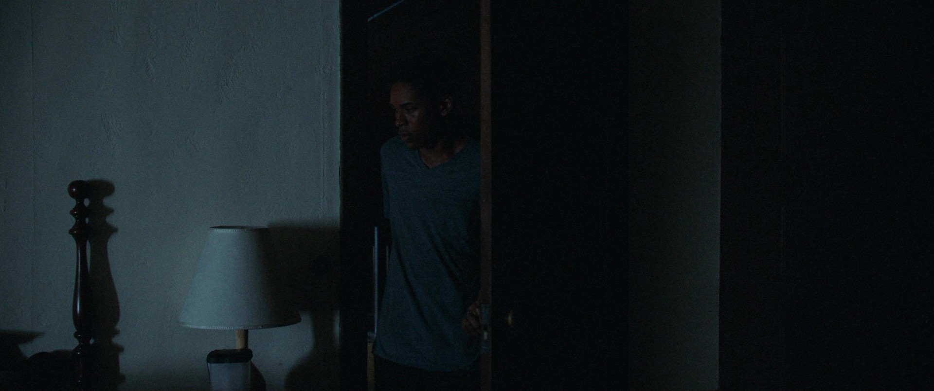It Comes at Night (2017) —  shot,  lighting