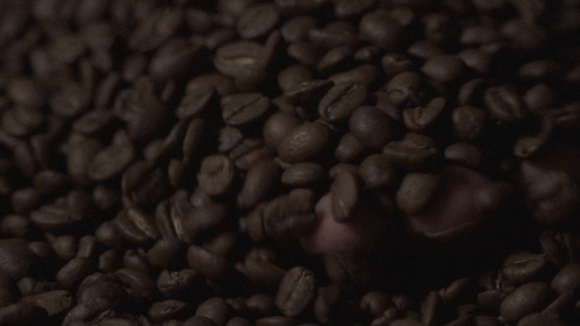 HONOUR - From_CostaRica_to_Cup (2017) —  shot,  lighting