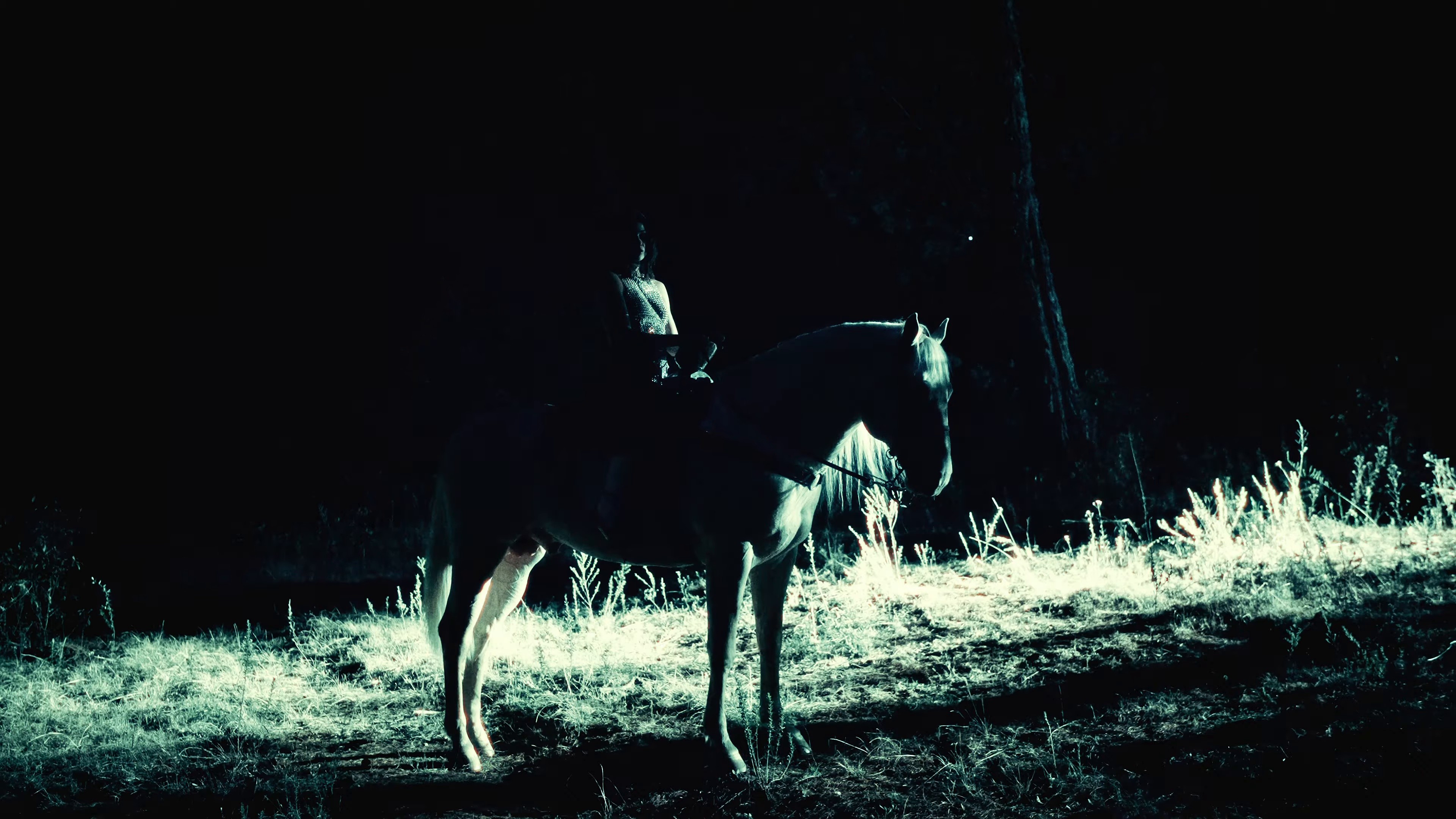 SENSOU (2024) —  shot,  lighting