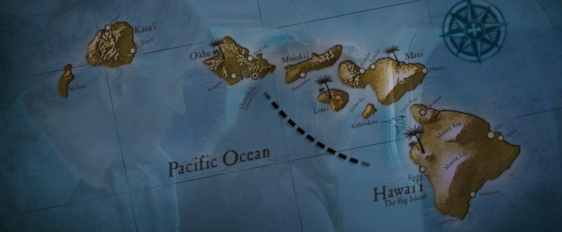 The Descendants (2011) —  shot,  lighting