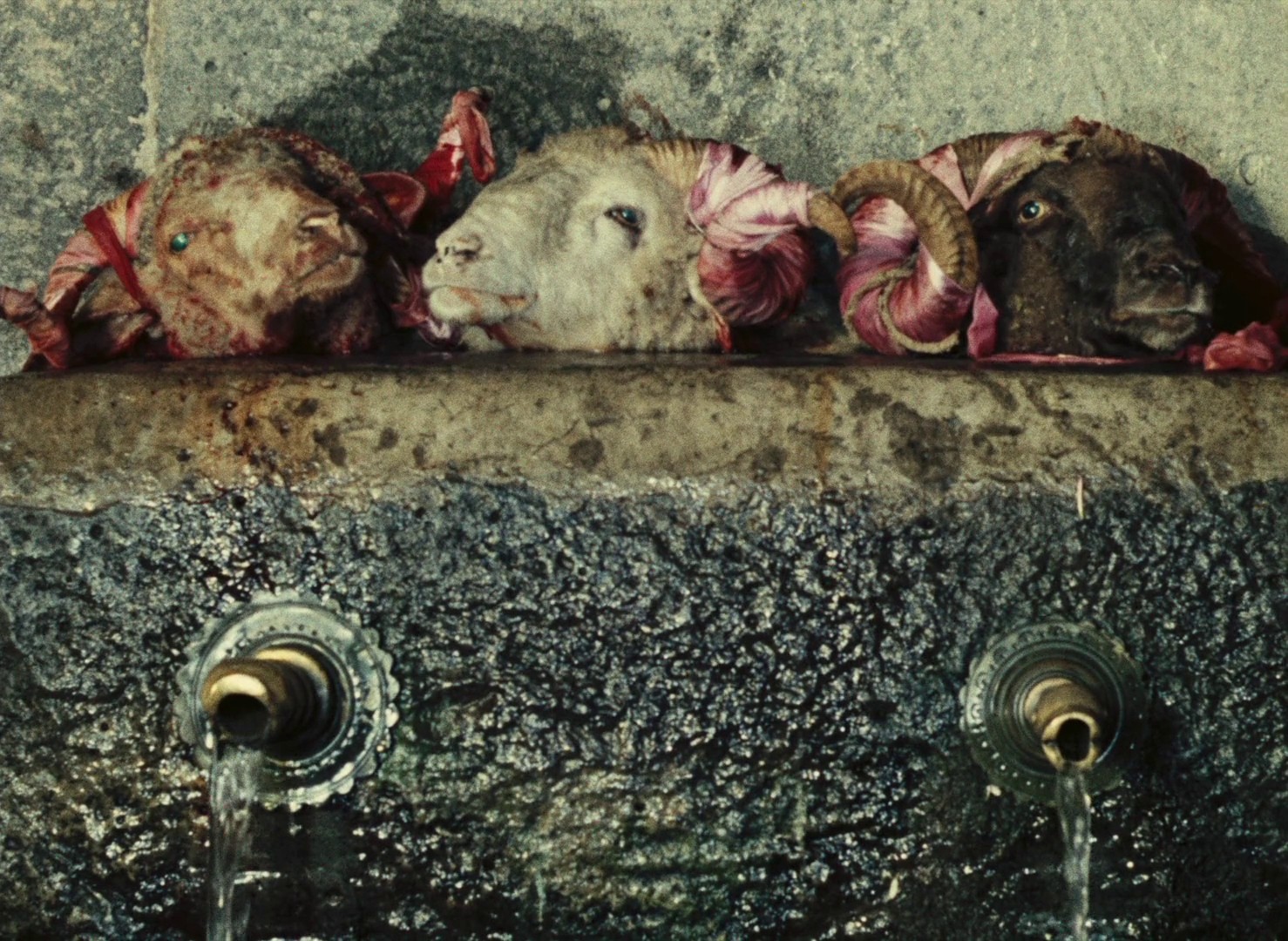 The Color of Pomegranates (1970) —  shot,  lighting