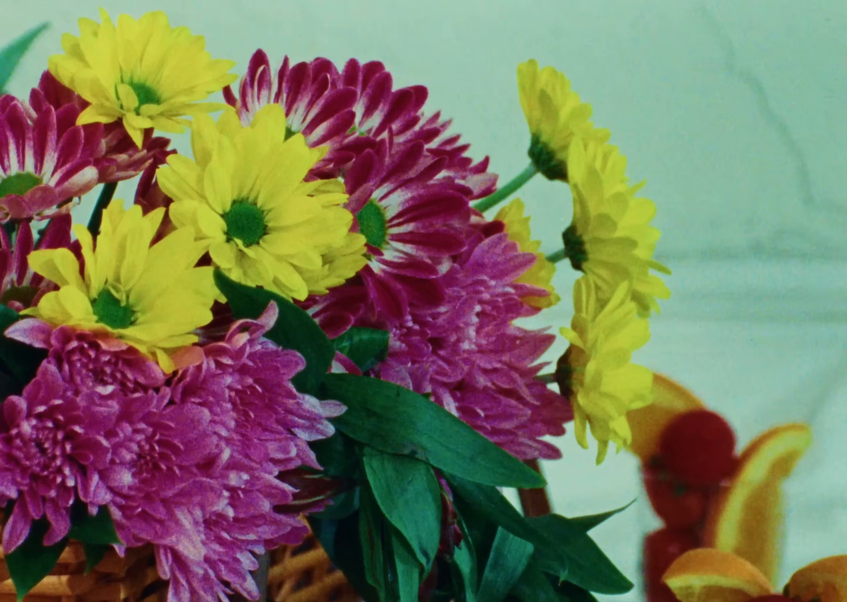 HAHA (2025) —  shot,  lighting