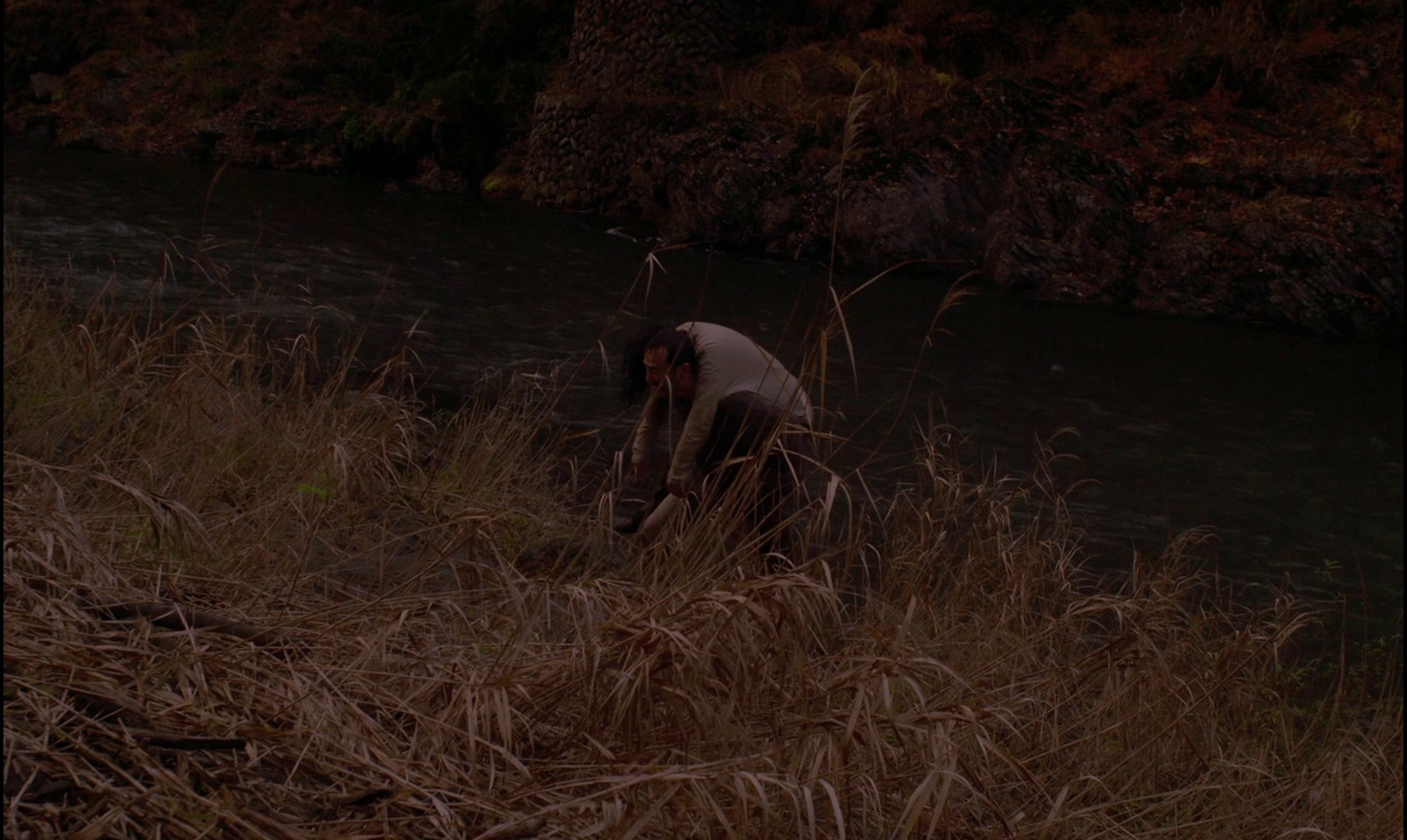 Harmonium (2016) —  shot,  lighting