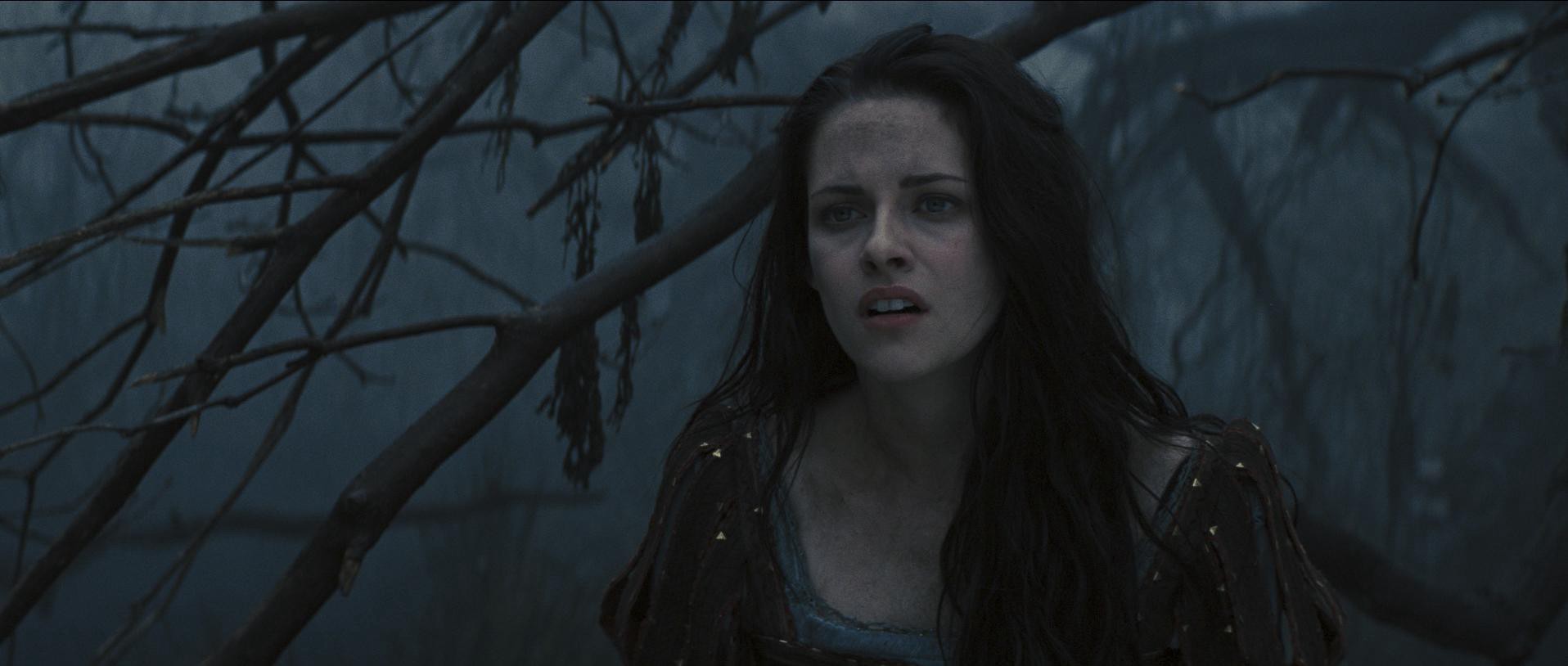 Snow White and the Huntsman (2012) —  shot,  lighting