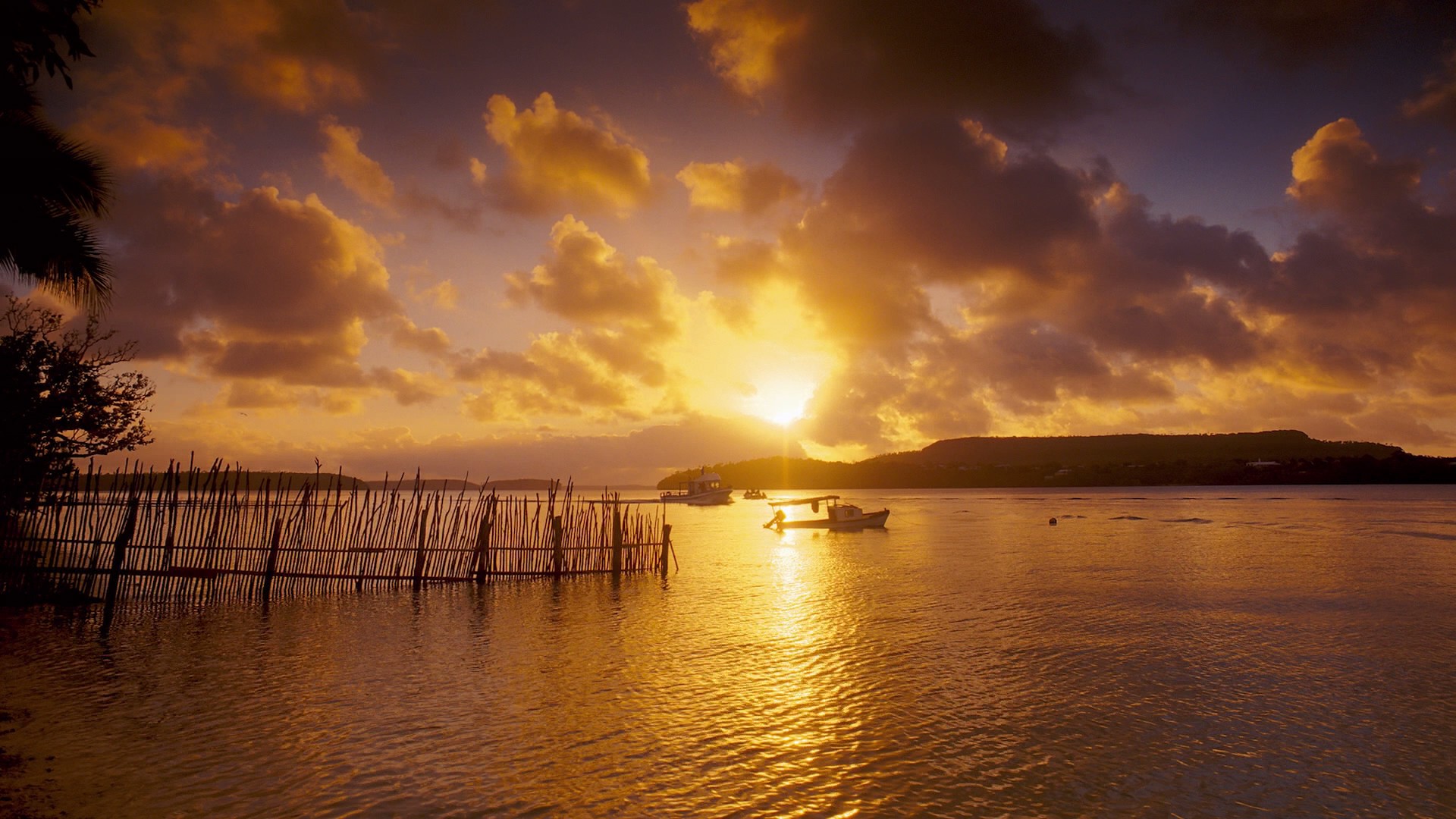 Humpback Whales (2015) —  shot,  lighting