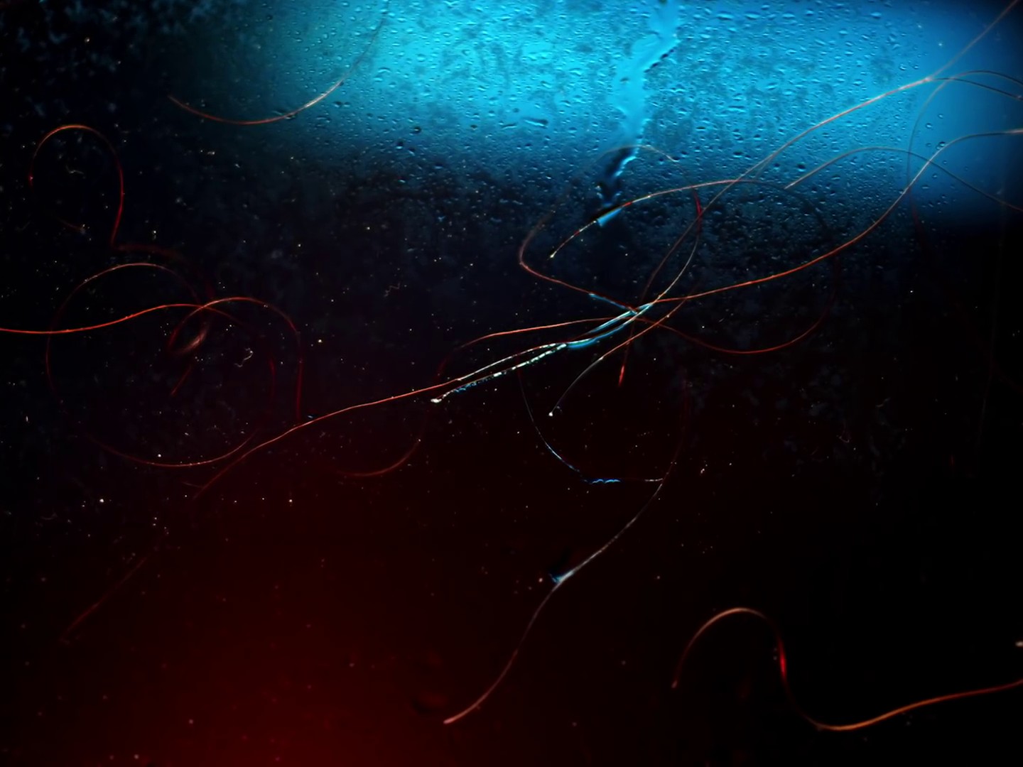 Castelmaure (2018) —  shot,  lighting