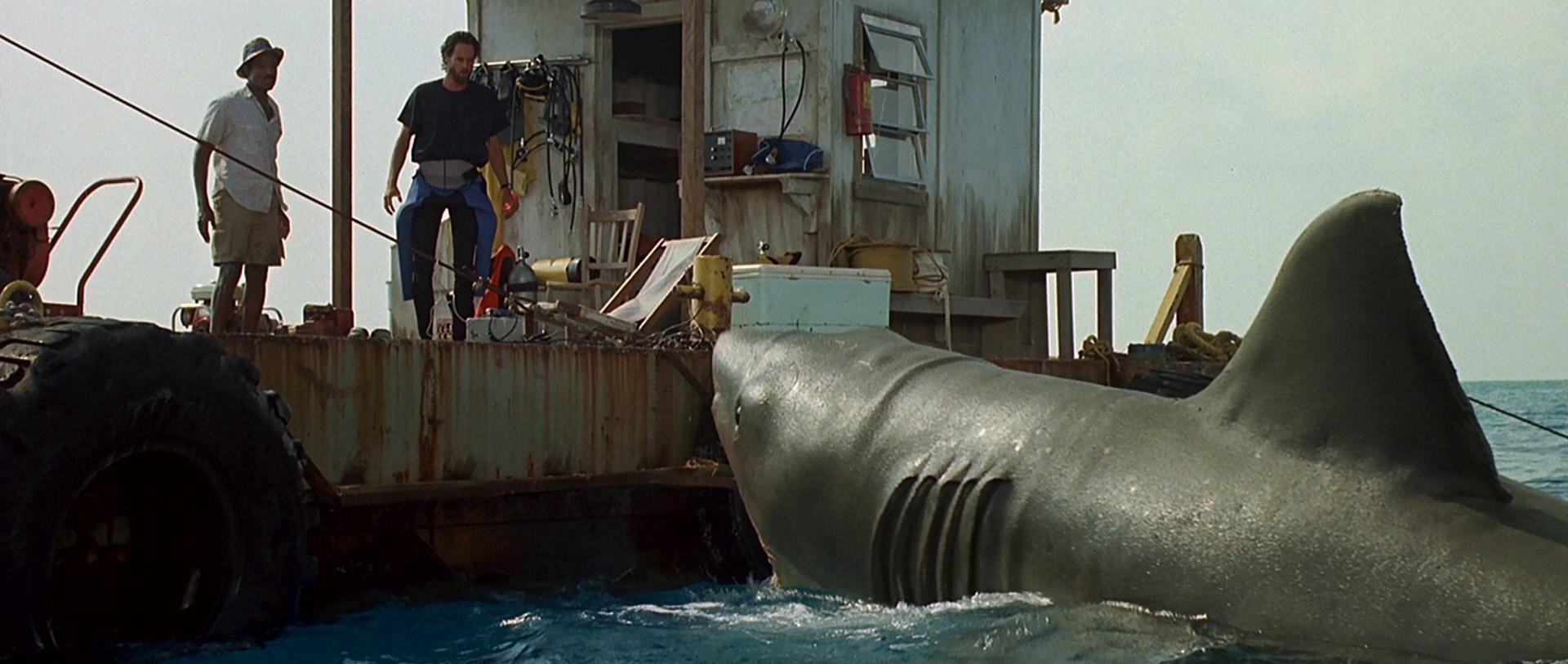 Jaws: The Revenge (1987) —  shot,  lighting