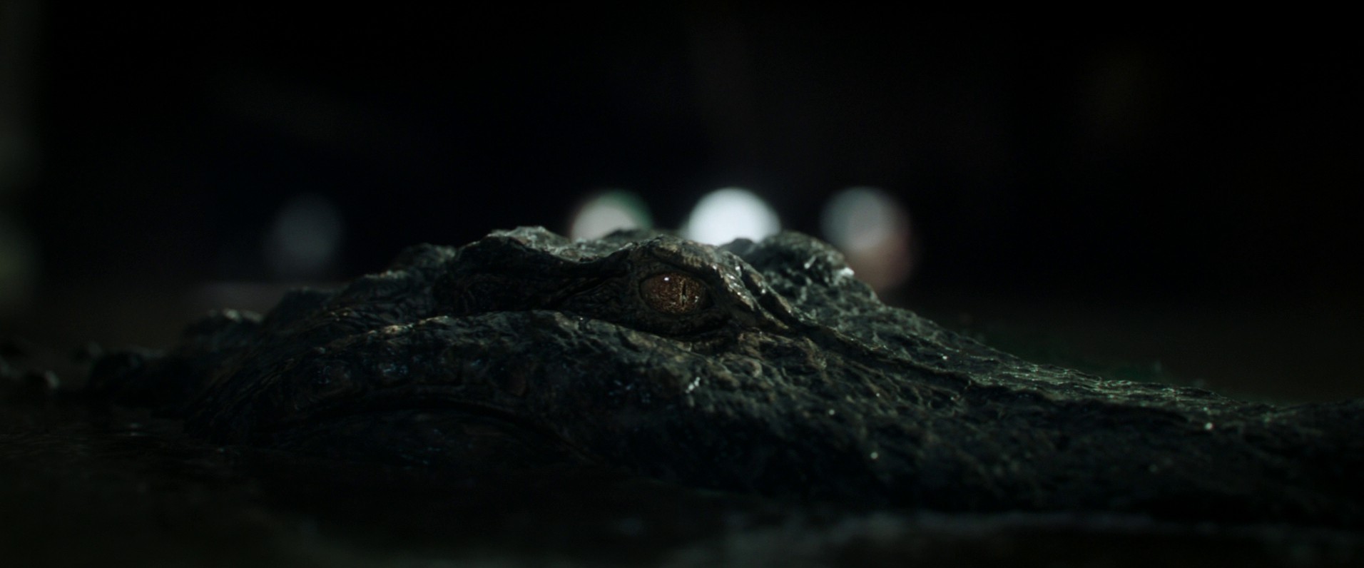 Crawl (2019) —  shot,  lighting