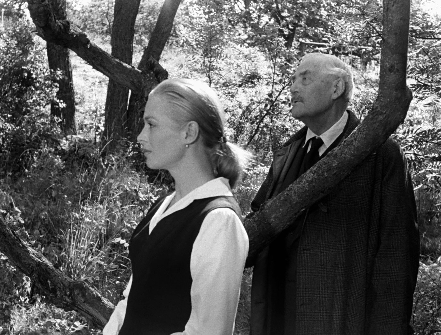 Wild Strawberries (1957) —  shot,  lighting